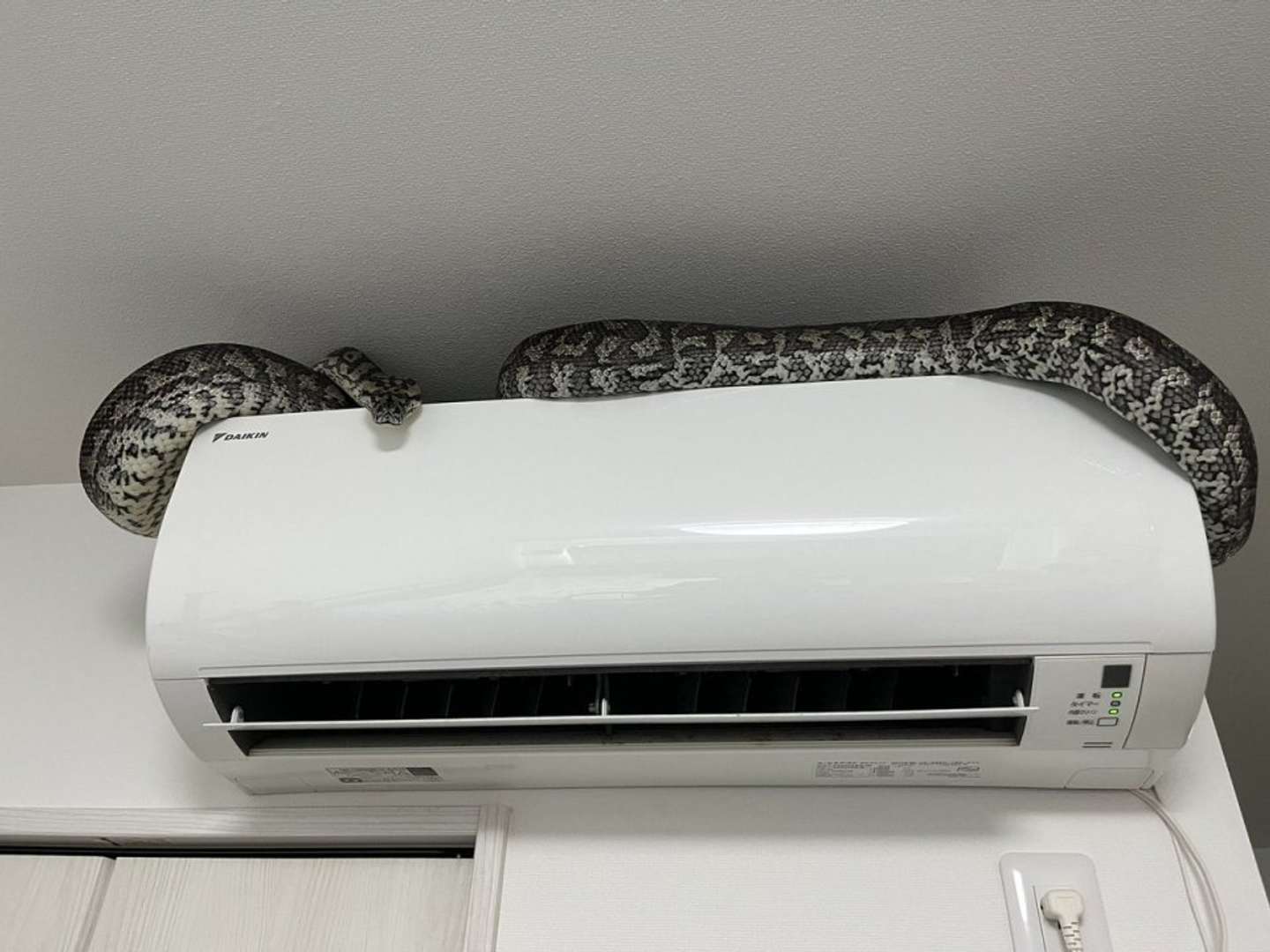 ここが落ち着くんだよねぇ（画像はいるる＠swrzk2hydeRepさんの投稿より）