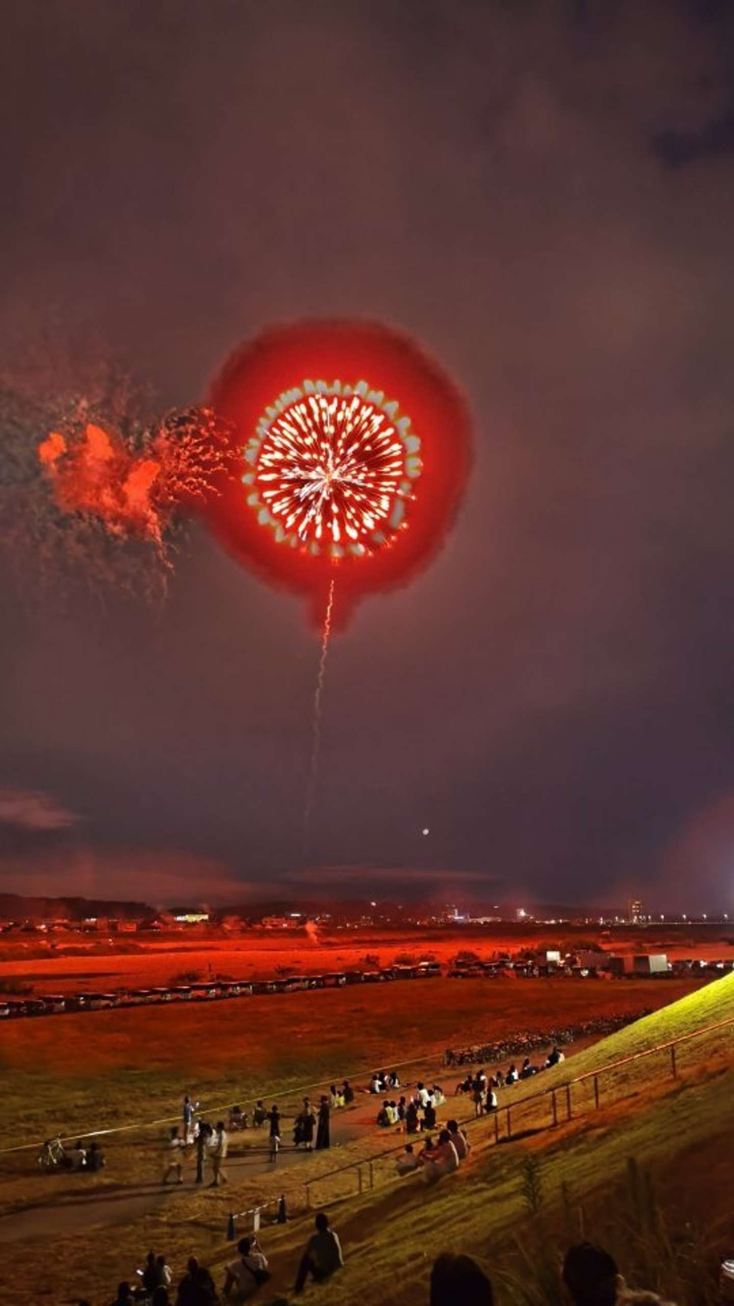 なにこれ...！？（画像はにゃんかず＠kamuiyさんの投稿より）