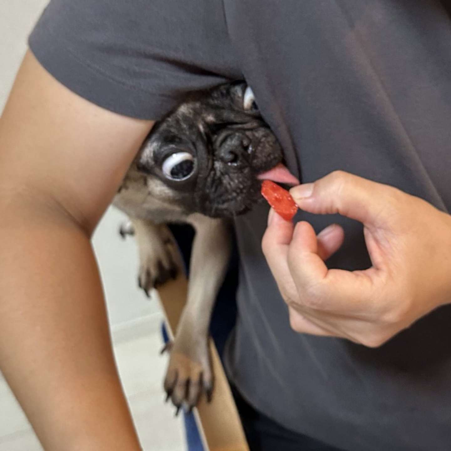 画像はれれ＠lele_kkoさんの投稿より、再掲