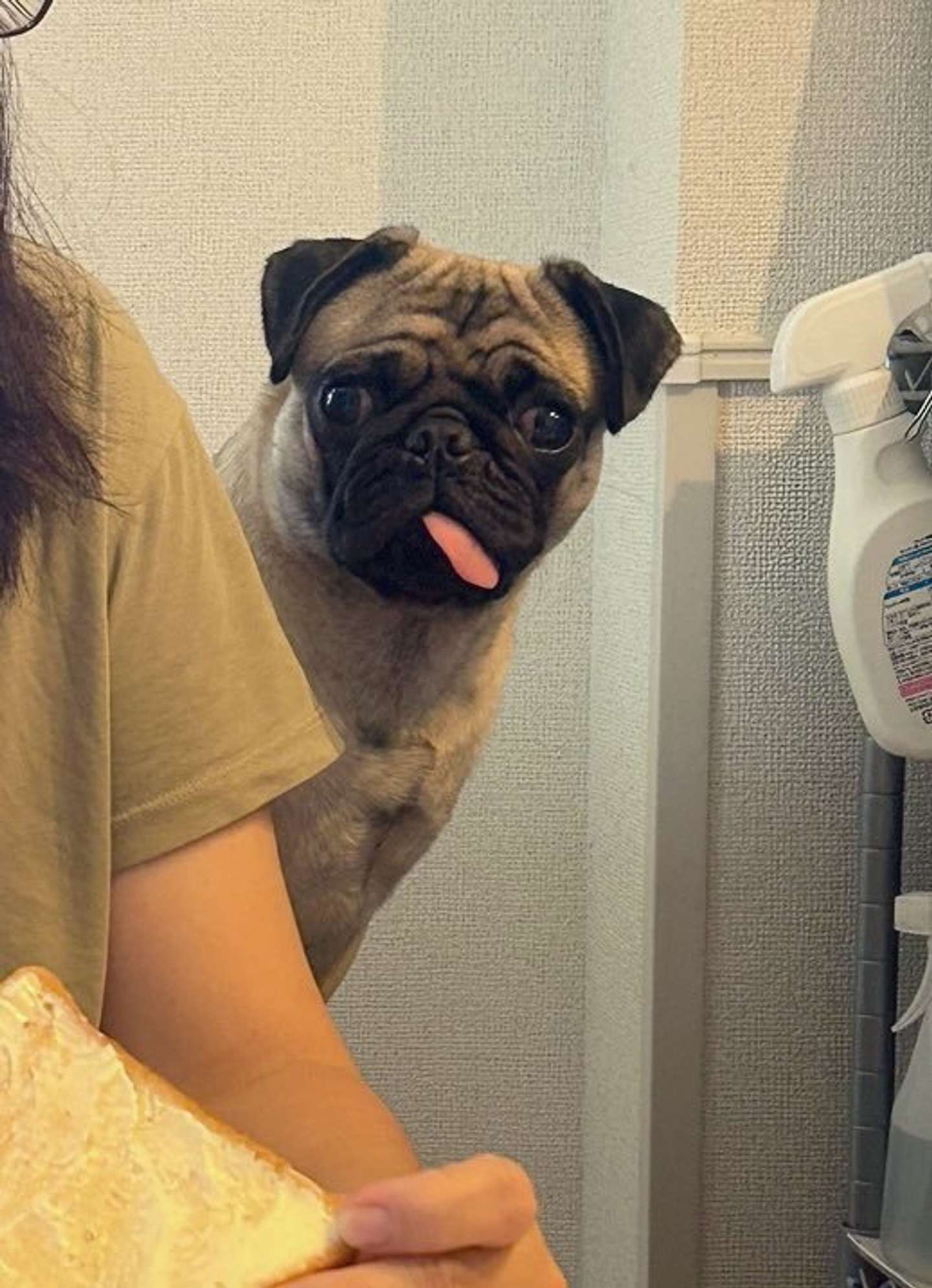 美味しそうなものを...食べていますね？（画像はれれ＠lele_kkoさんの投稿より）