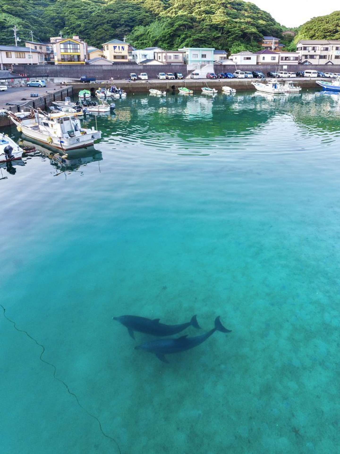 素敵な「お出迎え」だ（画像はbird＠3m1ekさんの投稿より）