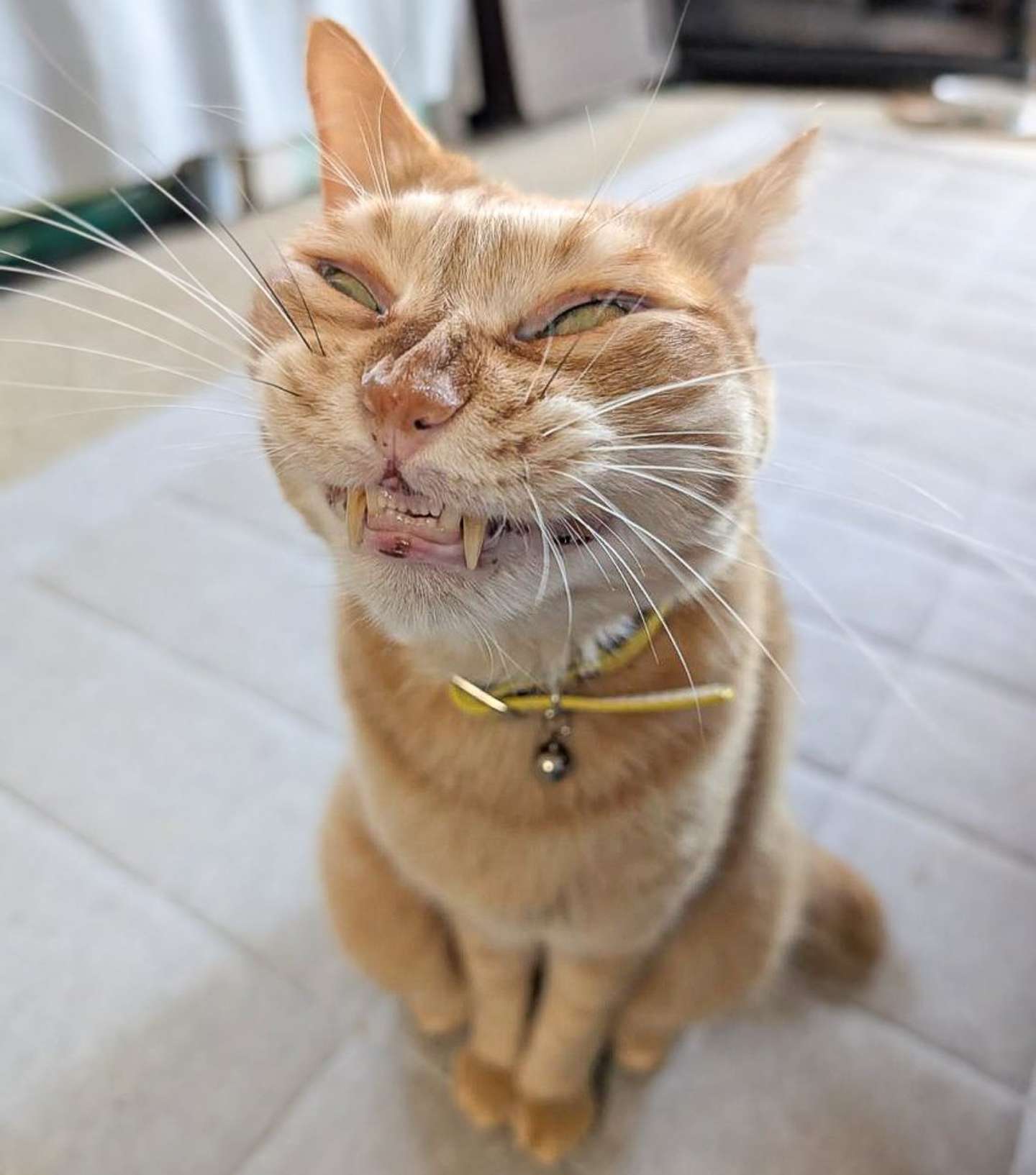 どういう感情？（画像は＠purinlalaさんの投稿より）