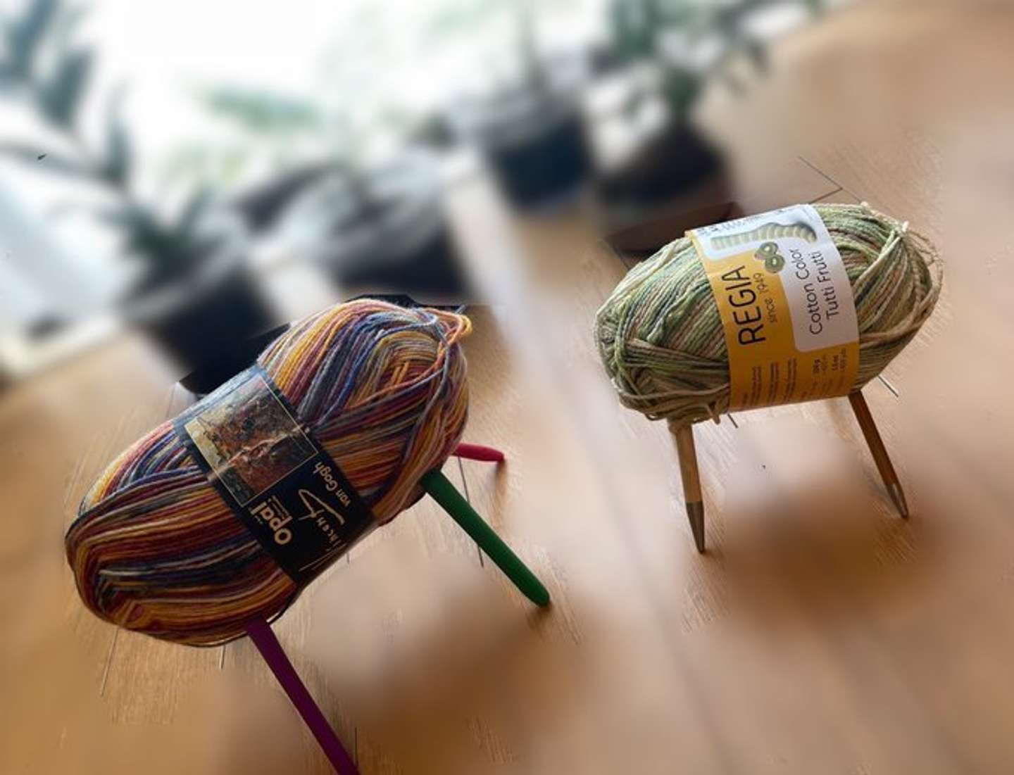 2024年8月5日のきのみさんの投稿より