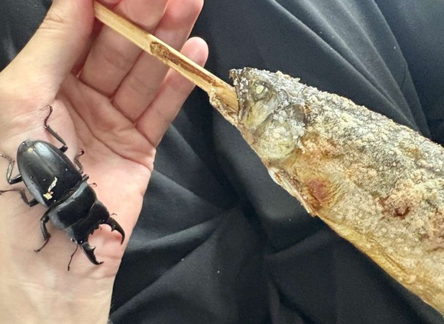 このツーショットは...（画像は御影石＠mika_geishiさんの投稿より）