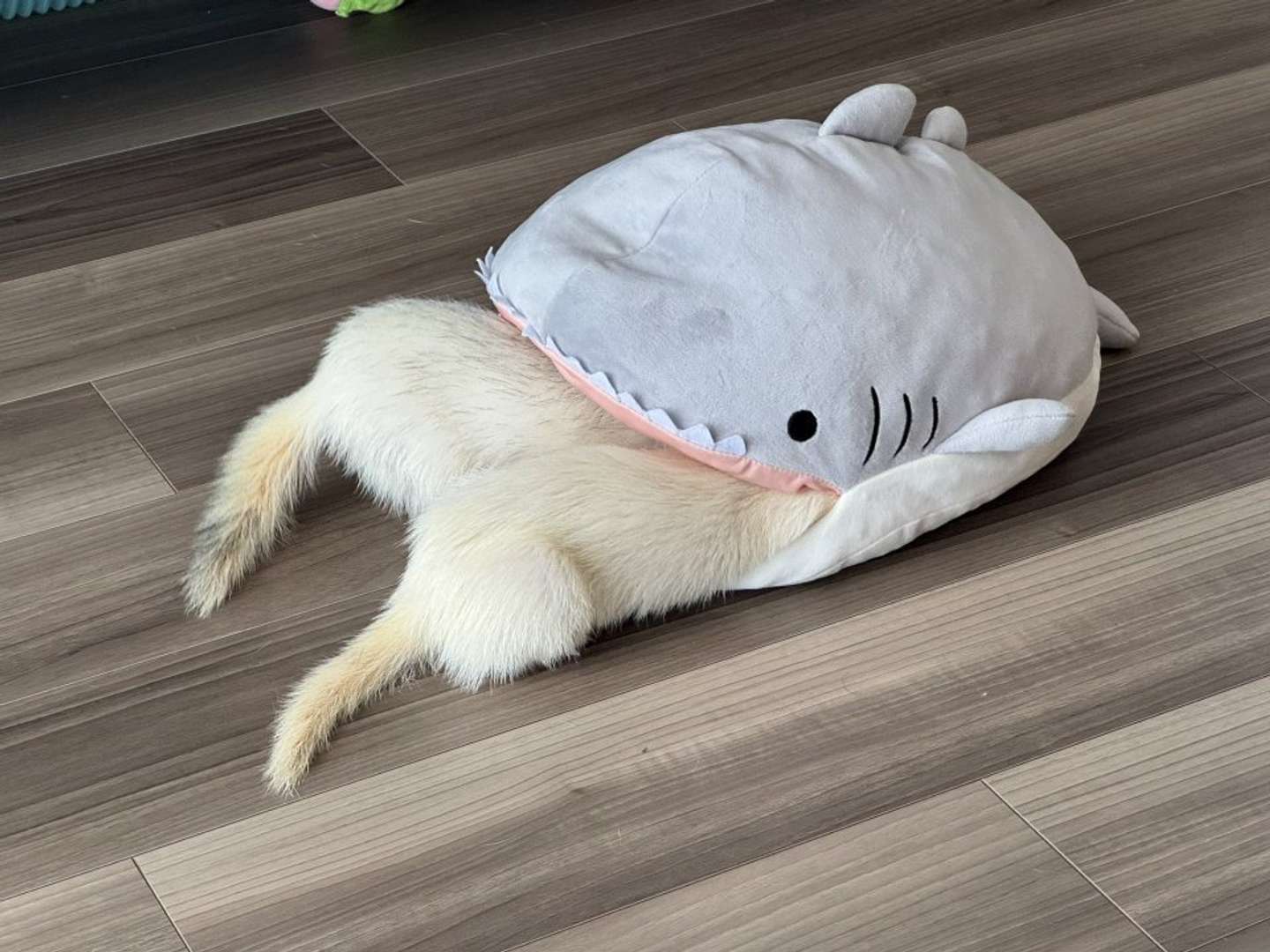 パクッといかれてるよ！（画像はうたちゅん＠UtA_and_aNimalさんの投稿より）