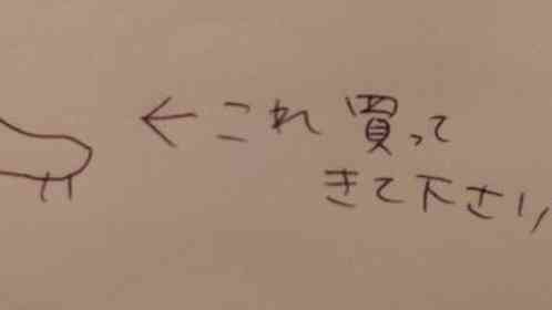 妻から渡された〝おつかいメモ〟に9.3万人困惑「何買ってきたらいい?」 →翌日夫が披露したのは...