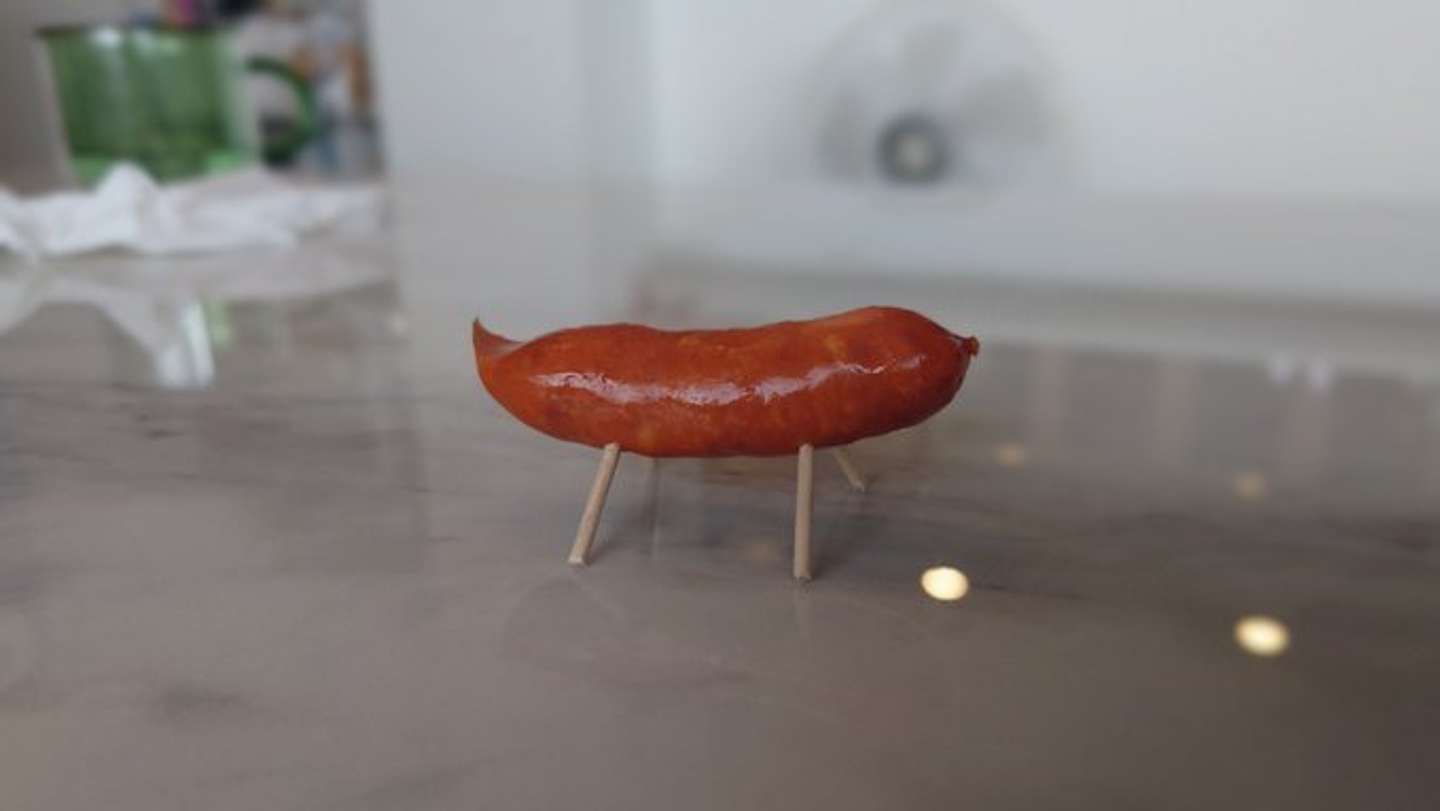 画像提供：迎霧狼慢(YMCAT)（＠info_ymcat）さん