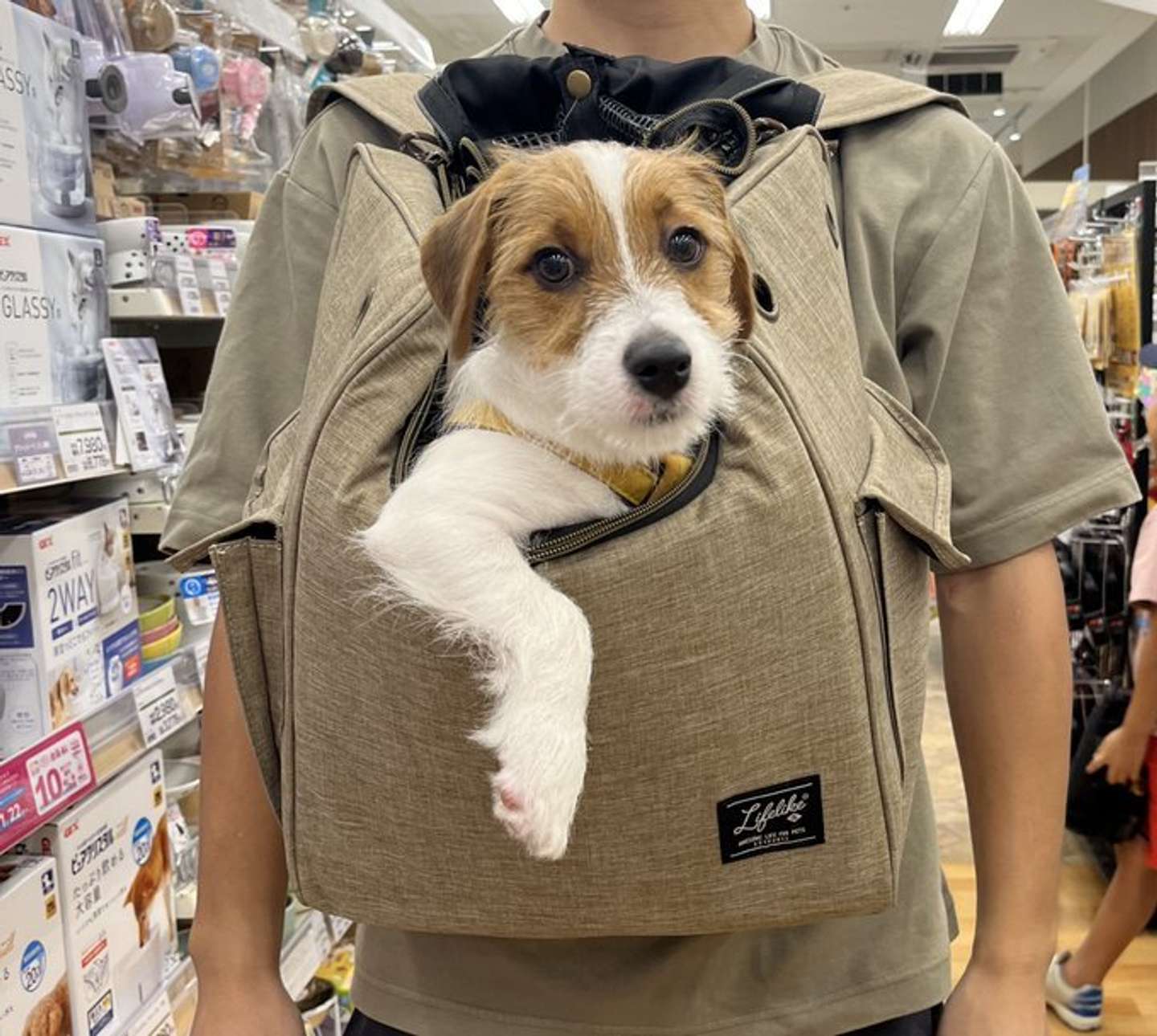 画像提供：ぱやりんこ（＠papaya_paya11）さん