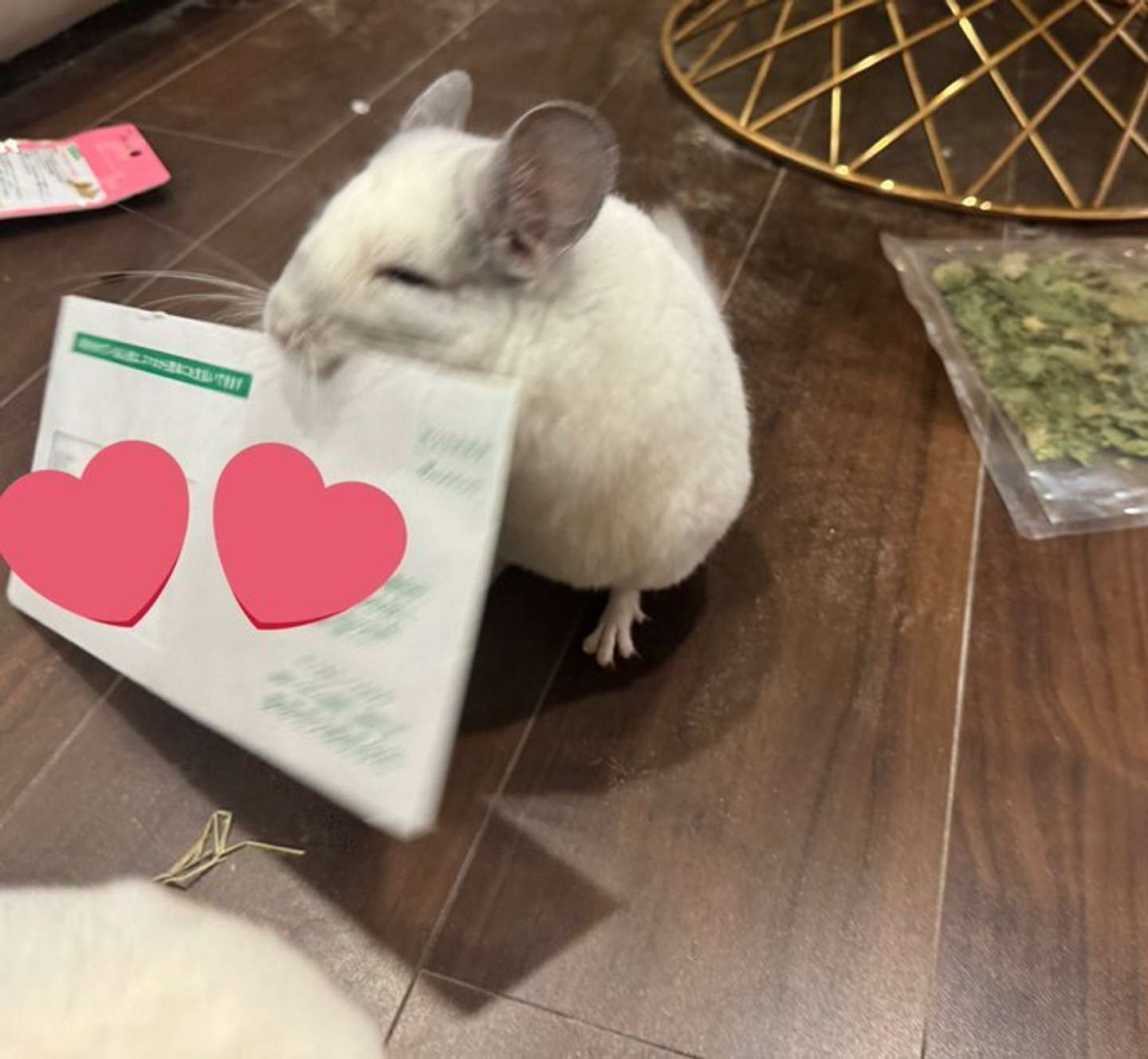 画像提供：＠ebi1Oroさん