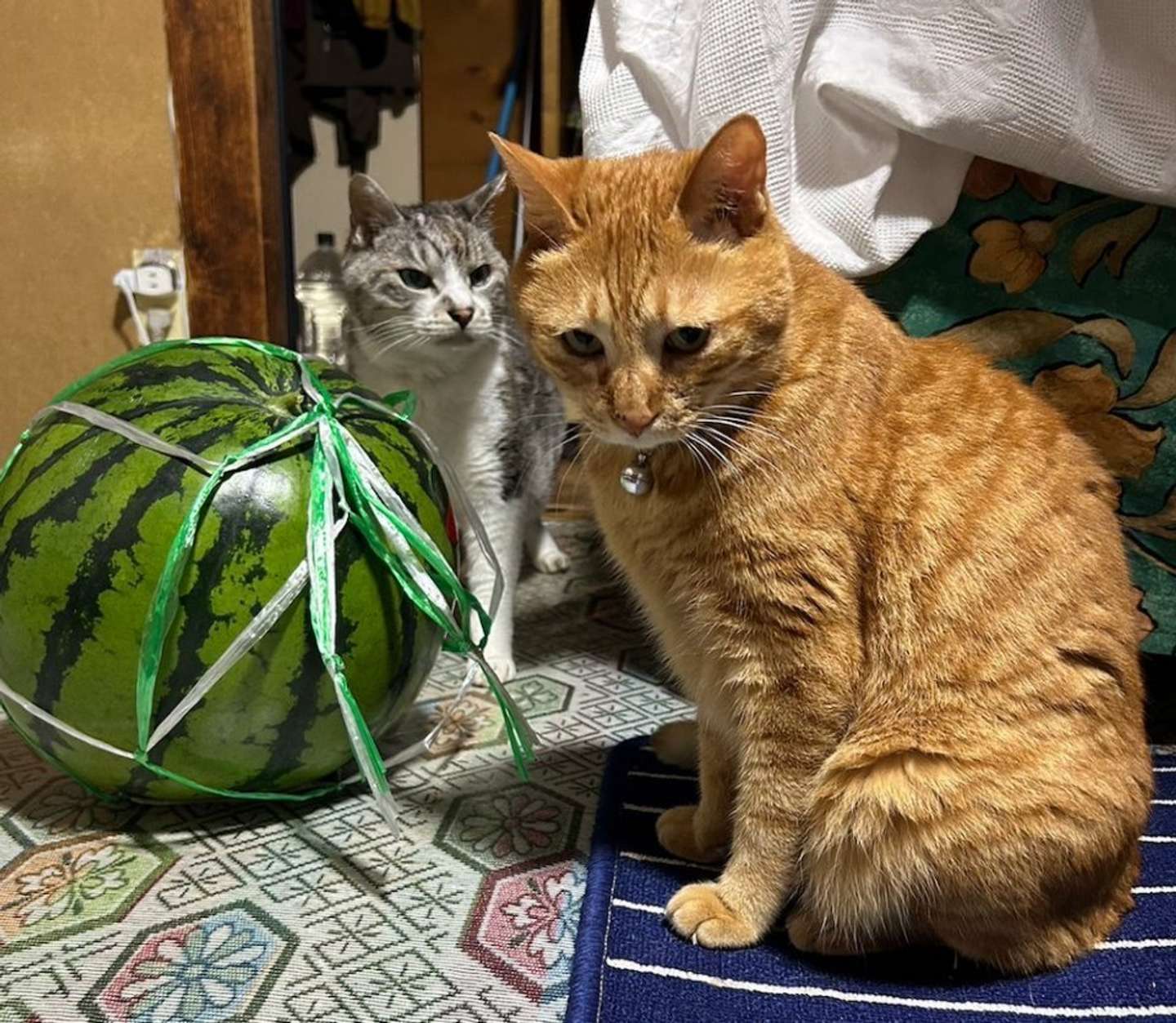 決着...？（画像はサユヤス＠SHAKEhizi_BSKさんの投稿より）