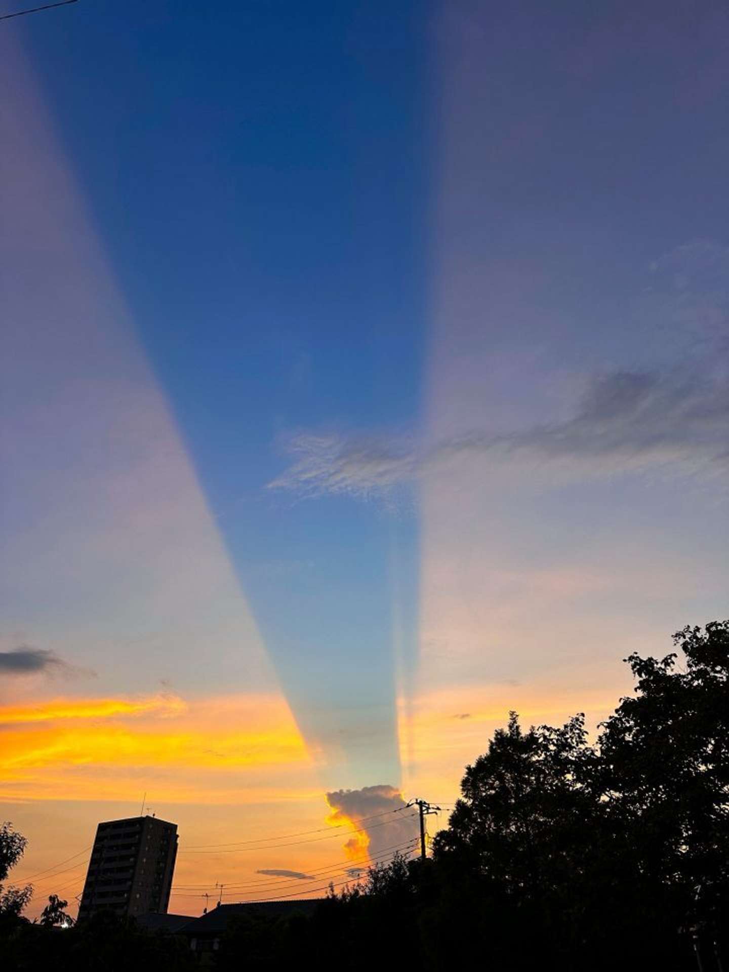 画像はぐるぐるうづまき＠guruguruuzumakiさんの投稿より、再掲