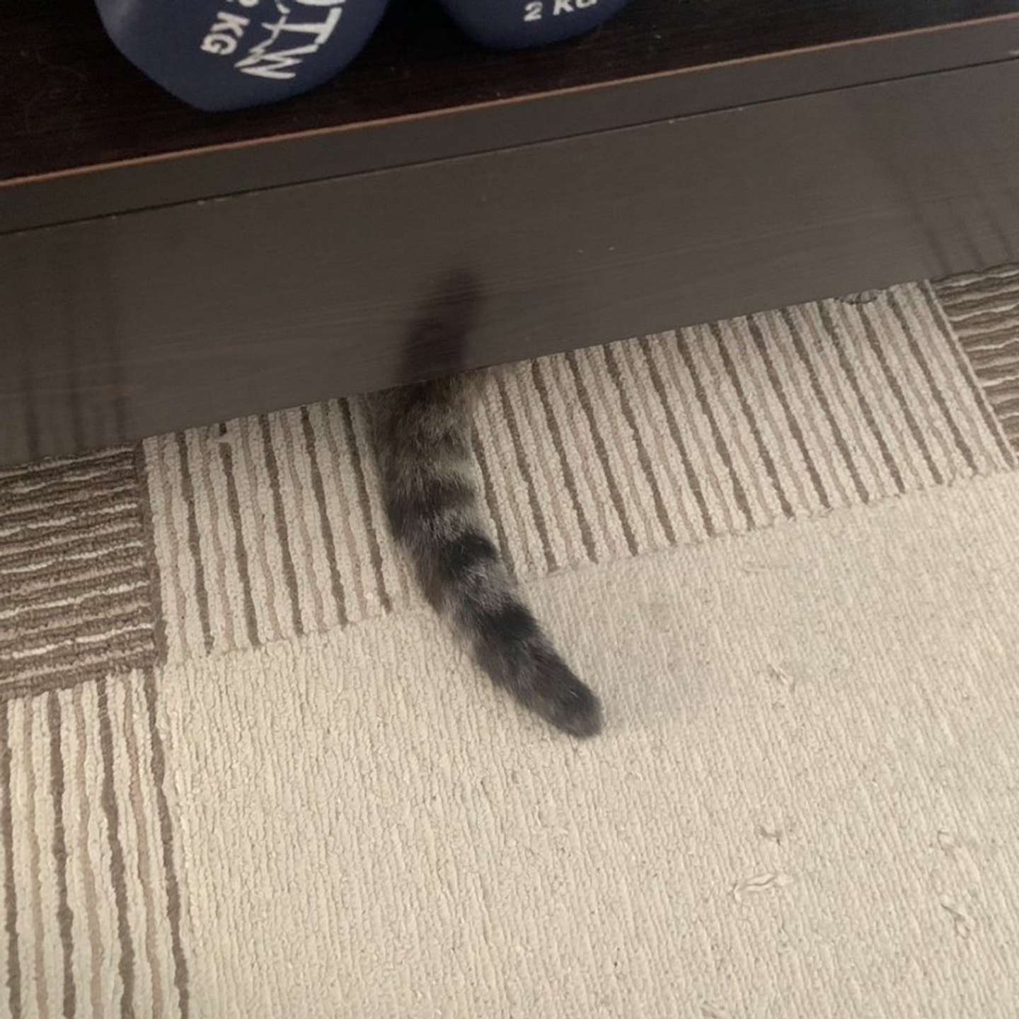 あっ！（画像提供：アび（＠Adonis_Beginner）さん）