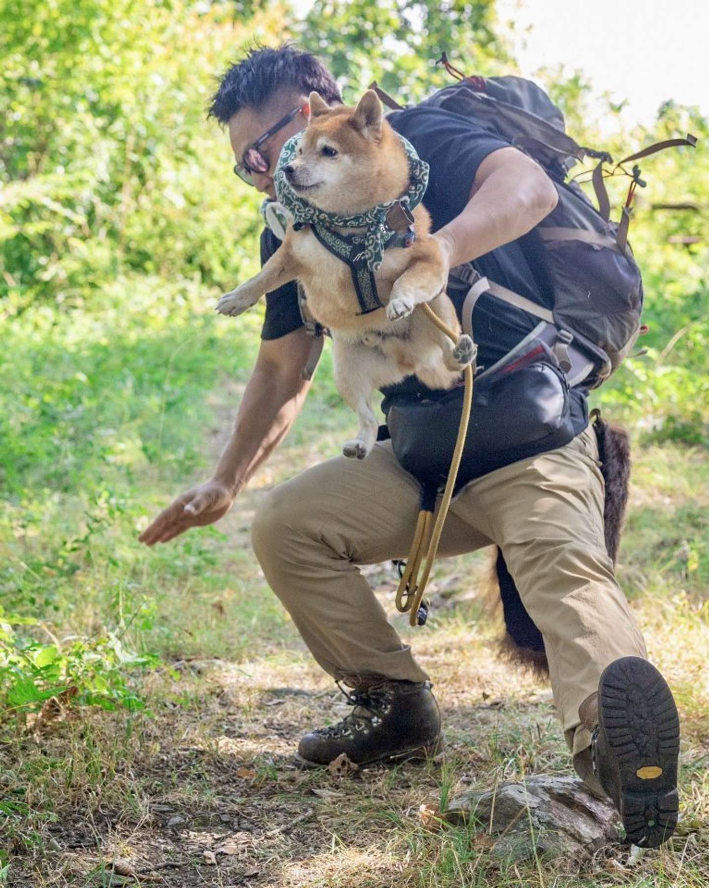 シンクロ（画像は@takechiyo_shibaさんの投稿より）