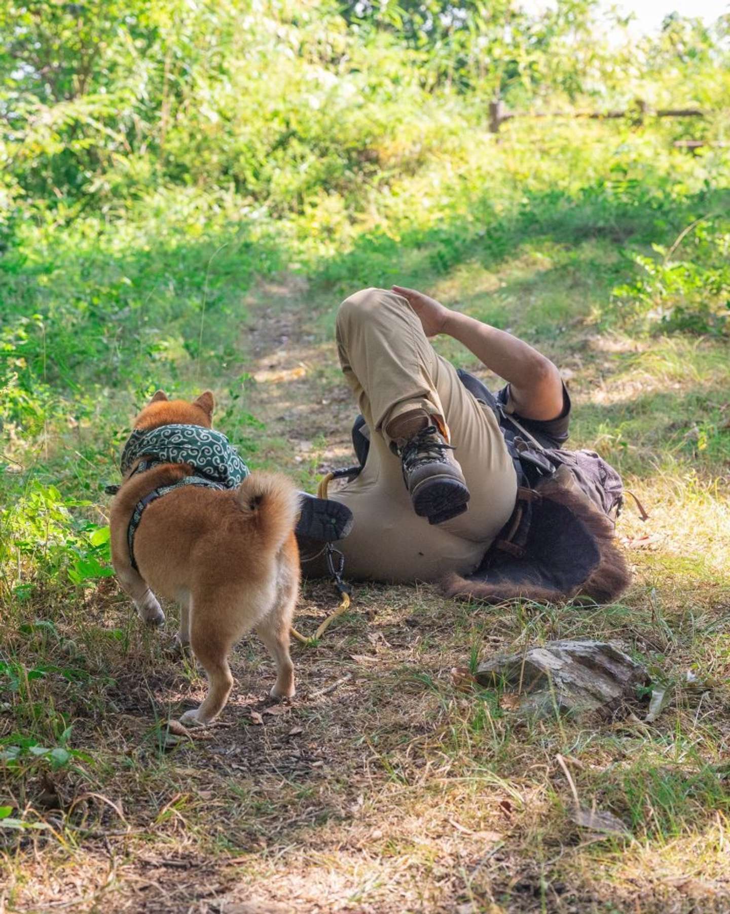 あらら...（画像は@takechiyo_shibaさんの投稿より）