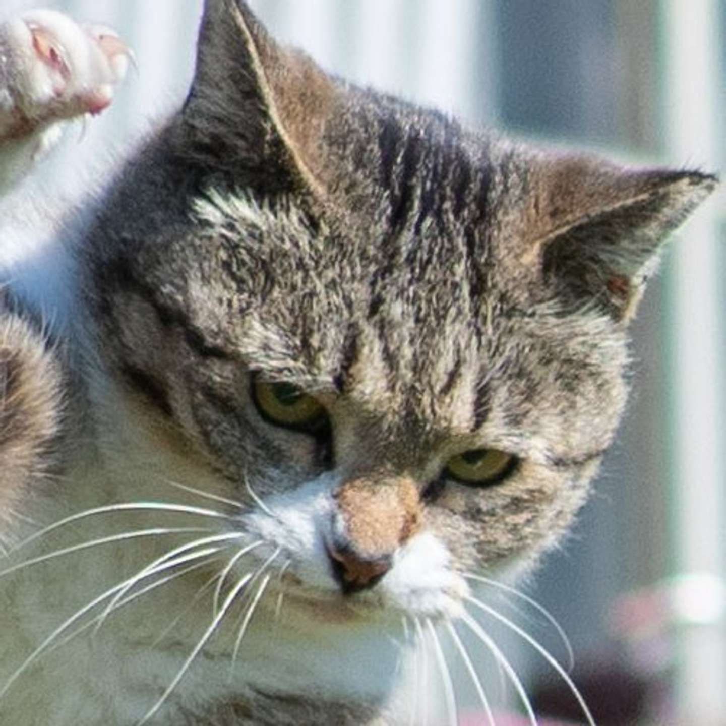 かっこいい（画像は久方広之＠sakata_77さんの投稿より）