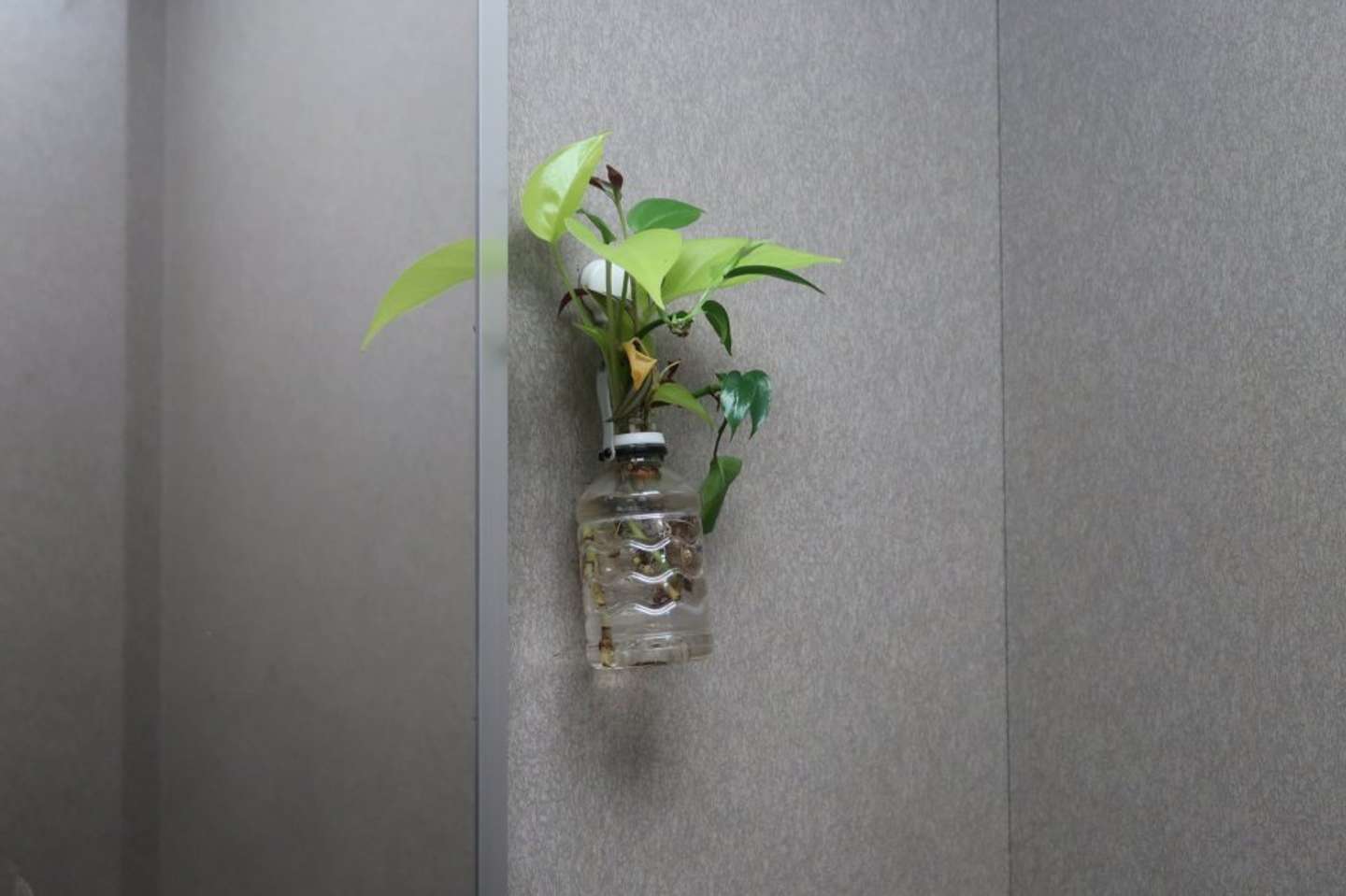 風情がある（画像は後降裏夫＠ato_orioさんの投稿より）