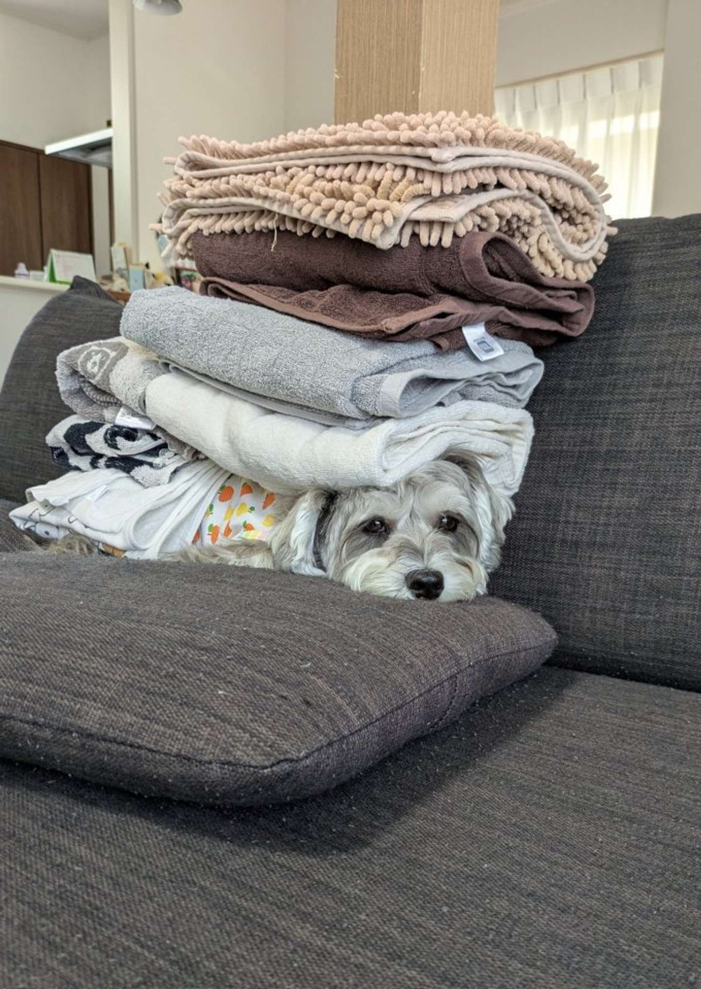 そこがいいの？（画像は＠pelepeledogさんの投稿より）