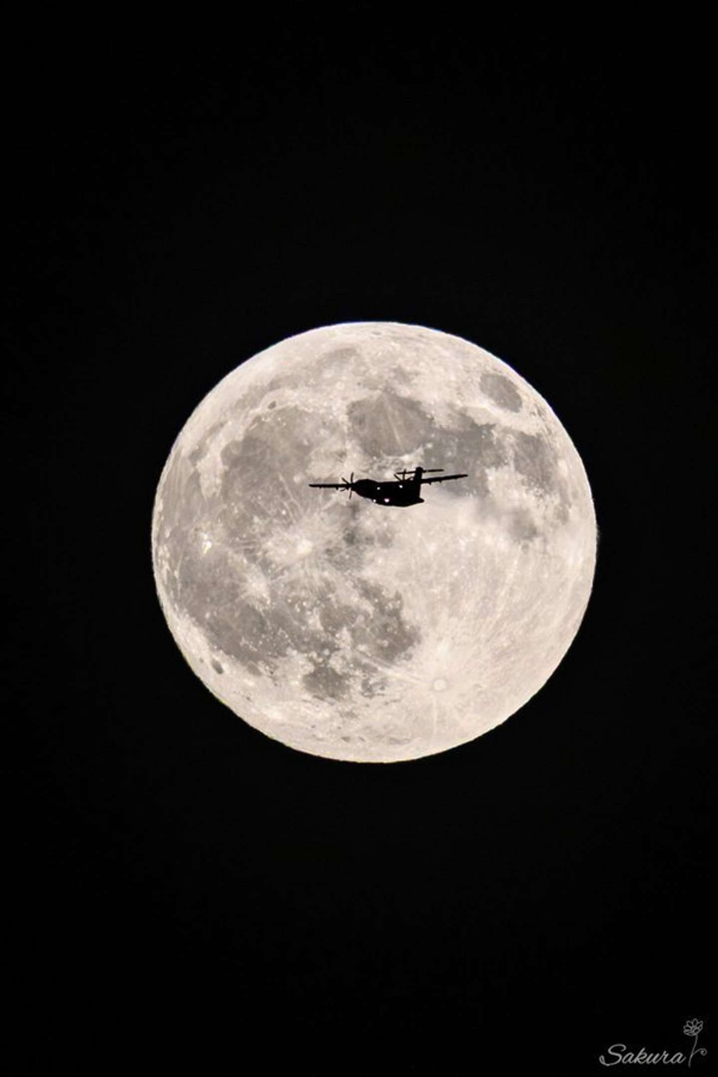 シルエットがはっきり（画像はSakura＠sakuraing64さんの投稿より）