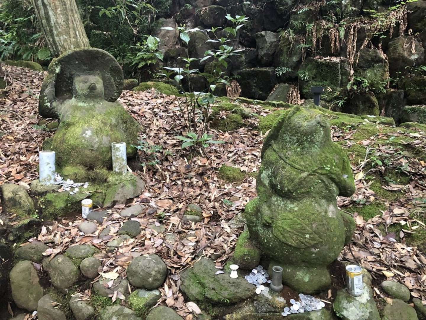 「いしみね＠日本たぬき学会」さん（＠rock8393）の投稿より