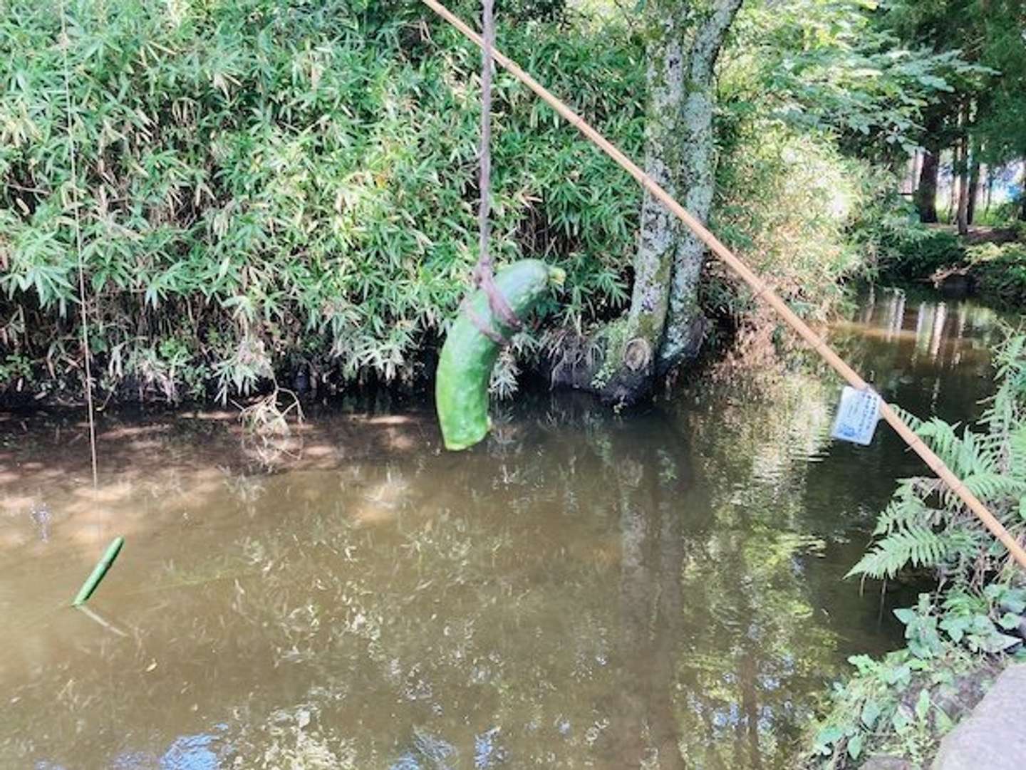 「いつき」さん（＠eki_itsuki）の23年8月19日の投稿より