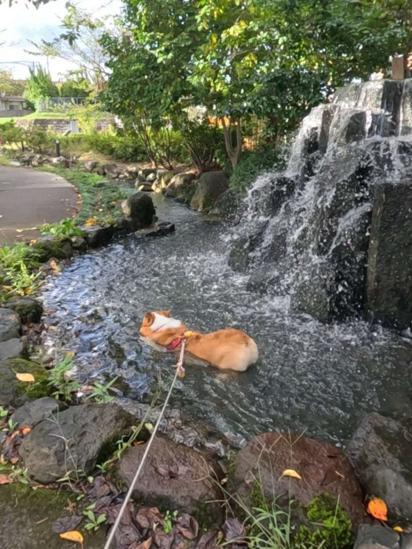 9月もまだまだ、冷えてます（2025年9月21日のぽた丸＠hipo_potamaruさんの投稿より）