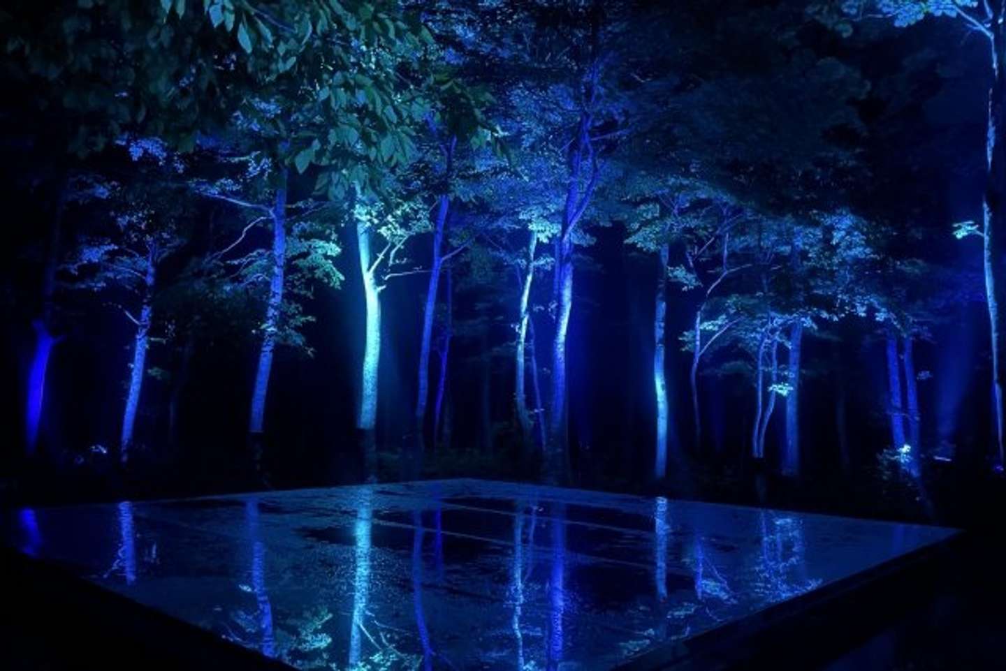 ライトアップされた空気神社（画像はphotoAC、ライトアップは「空気まつり」の一環として6～8月ごろに行われる）