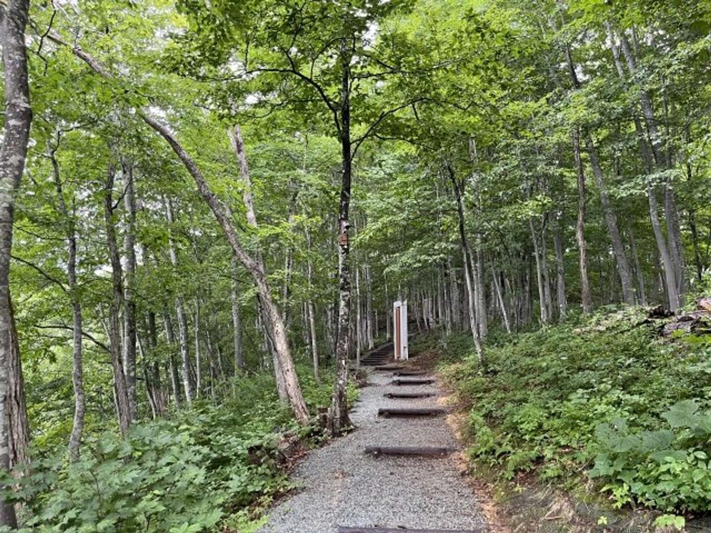 空気神社の参道（画像はphotoAC）
