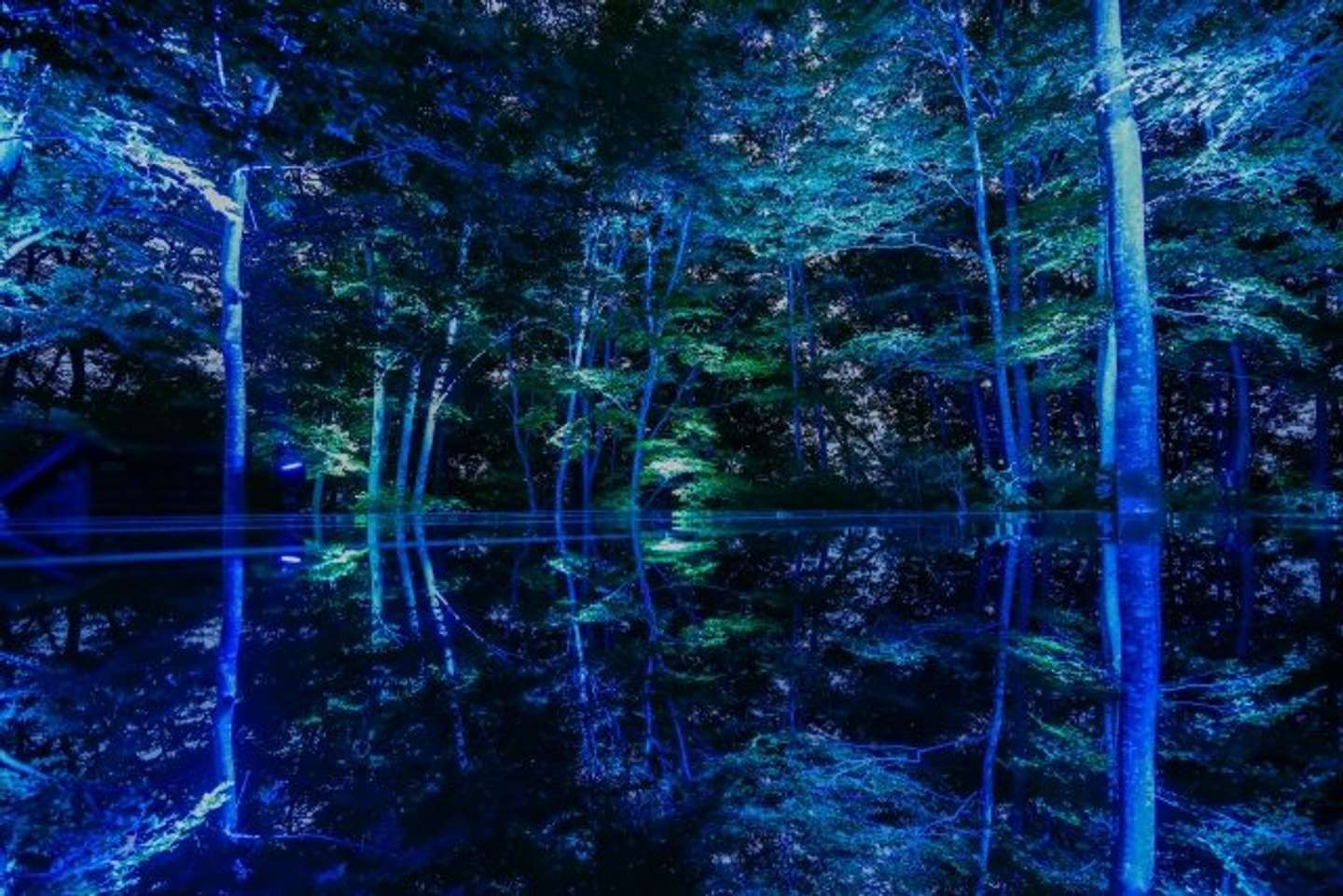 ライトアップされた空気神社（画像はphotoAC、ライトアップは「空気まつり」の一環として6～8月ごろに行われる）