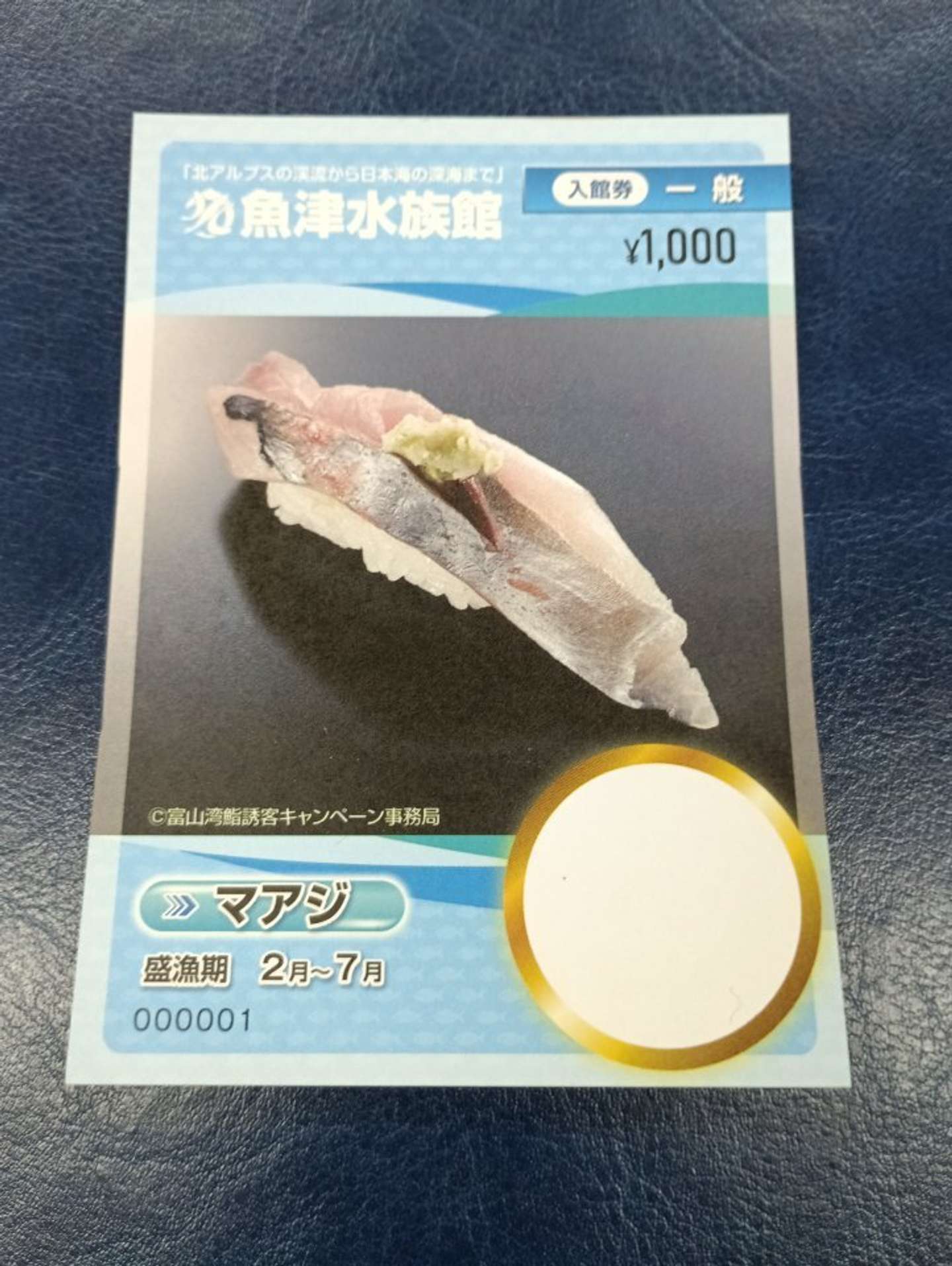 画像提供：魚津水族館、再掲