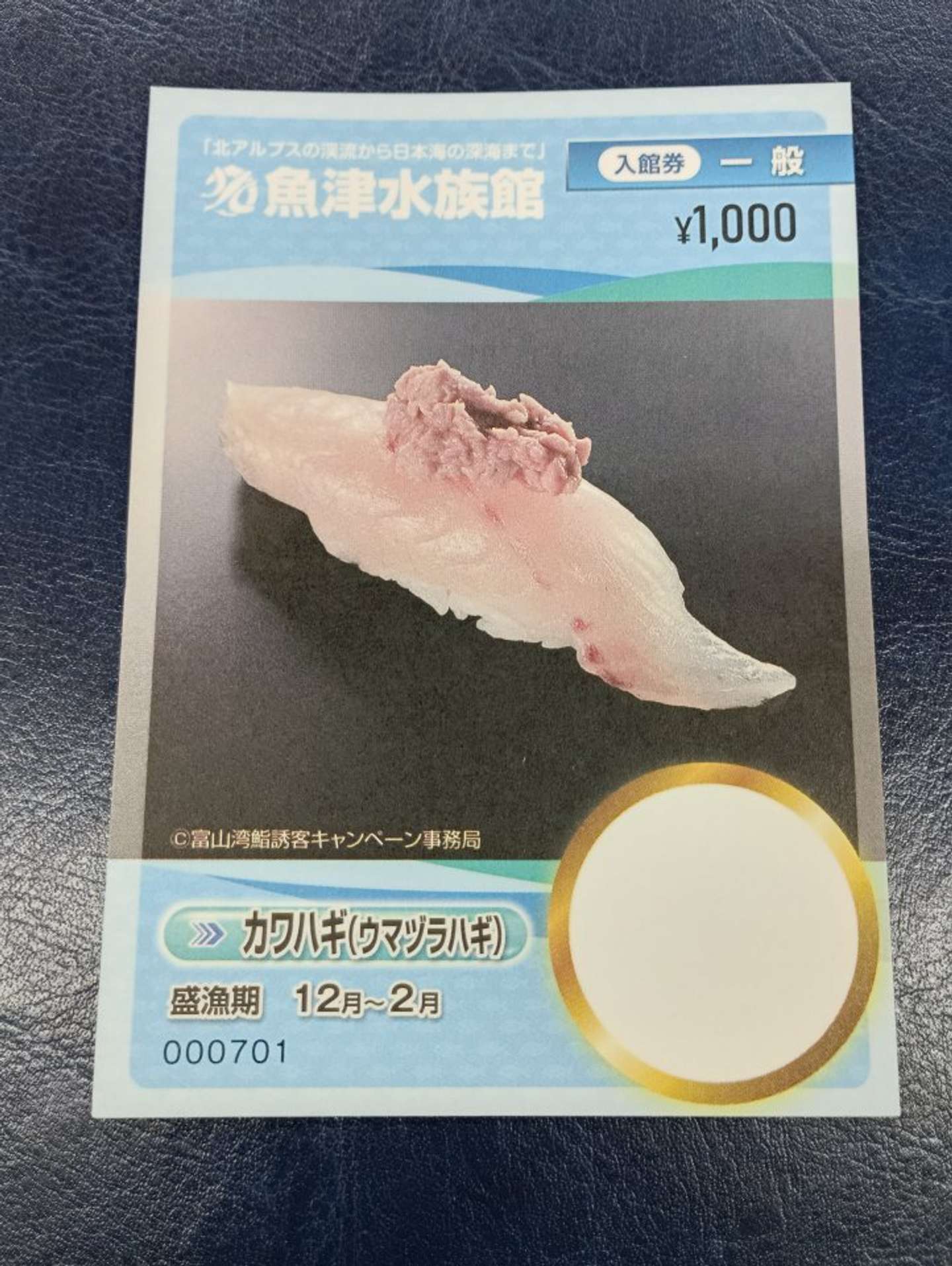 ウマヅラハギのお寿司（画像提供：魚津水族館）