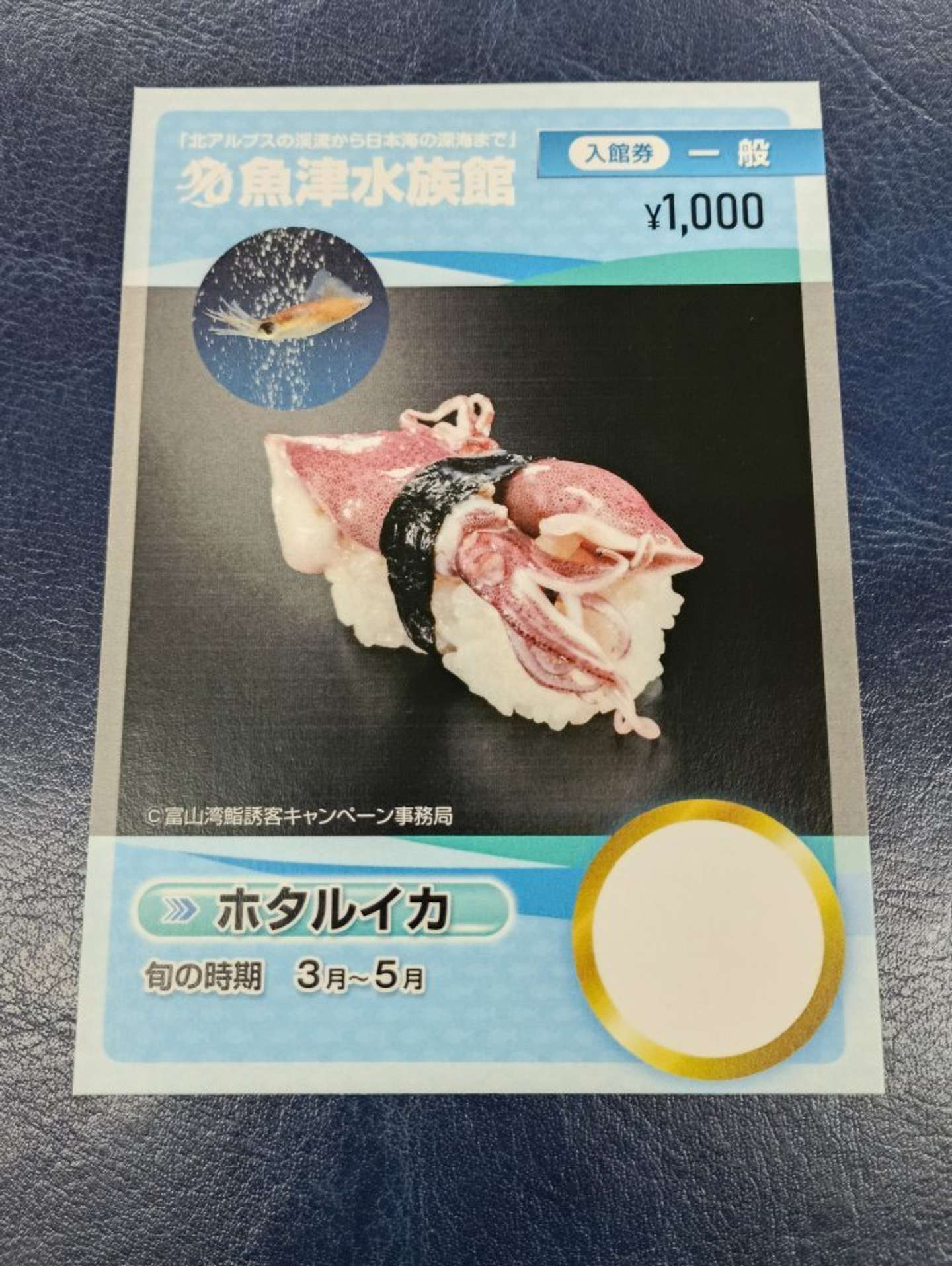 ホタルイカのお寿司（画像提供：魚津水族館）