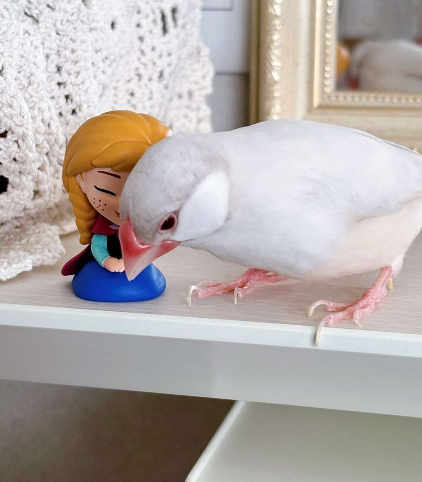 落としたオラフを見る文鳥さん＜画像提供：Anne（＠ann_e_fa）さん＞