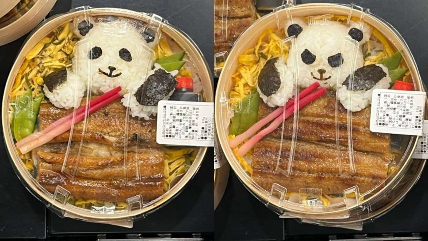 どっちも可愛い（画像はるさ＠rusa530haru528さんの投稿より）