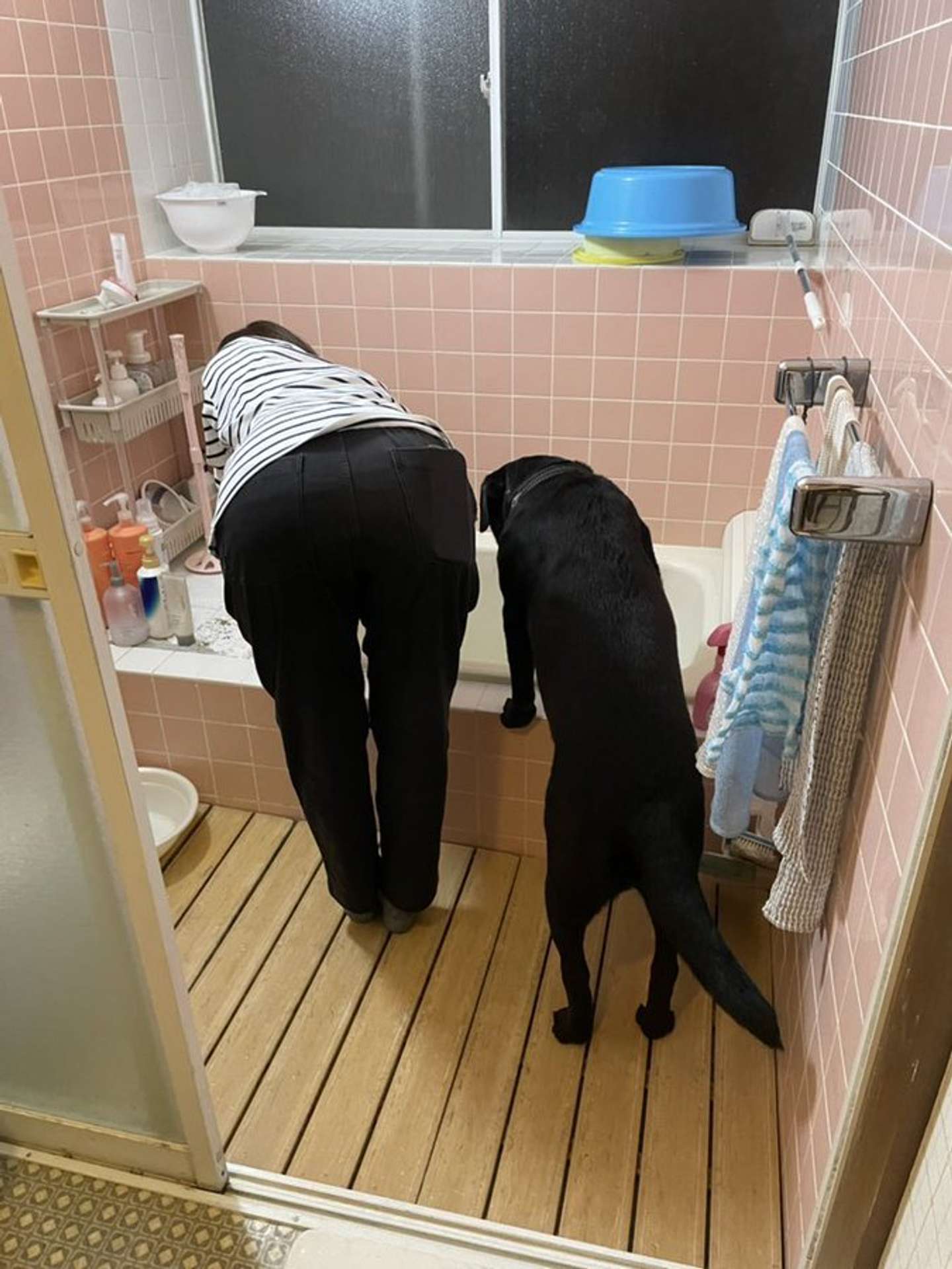 似てる！（画像提供：＠umekochanyoさん）