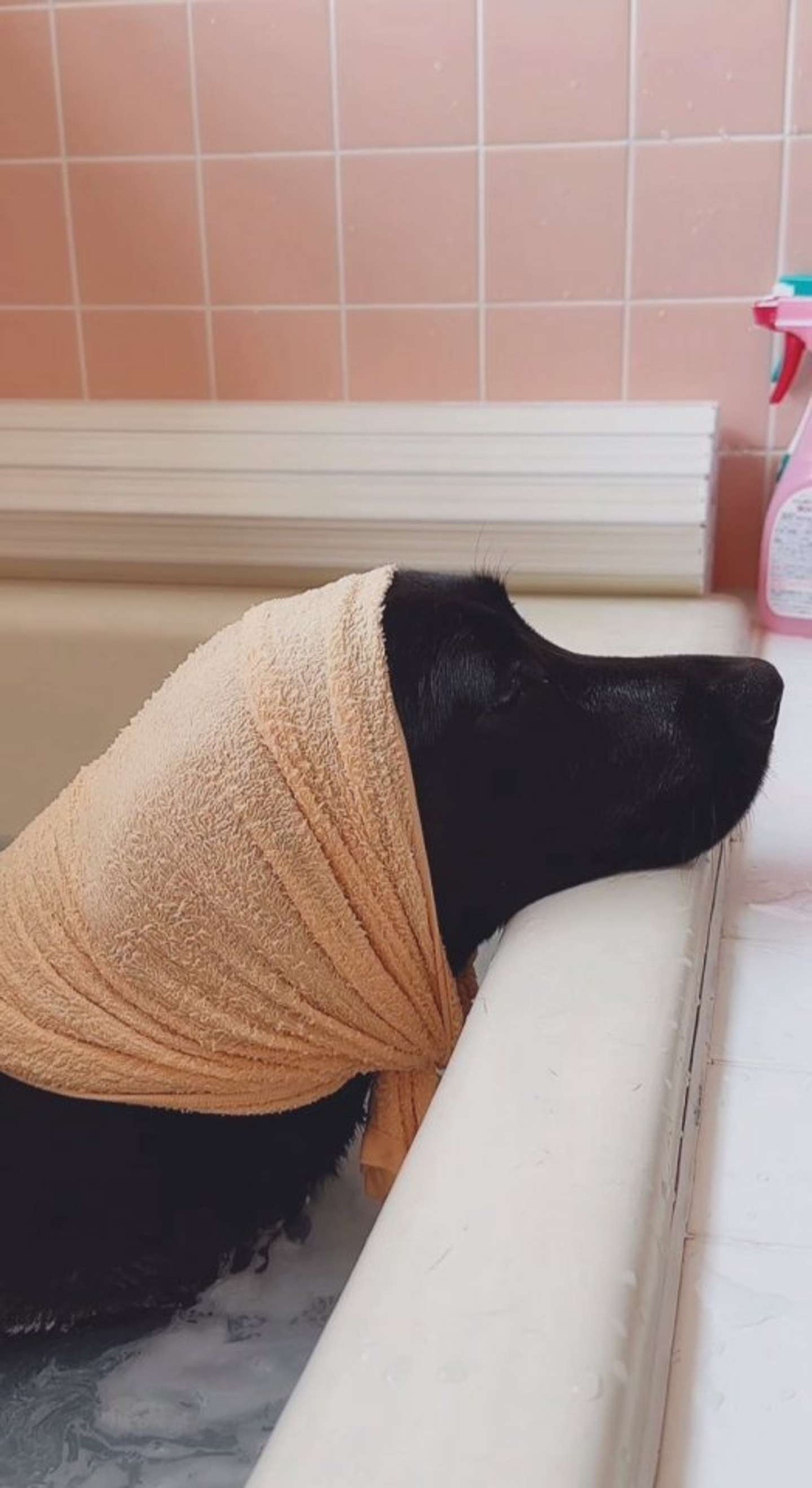 いい湯だな♪（画像提供：＠umekochanyoさん）