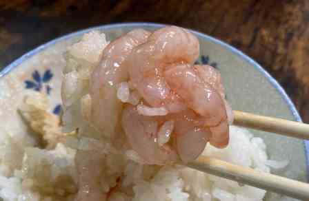 石川県産甘エビがたっぷり入ってこのお値段　刺身・丼・ガーリックシュリンプに...300円で大満足
