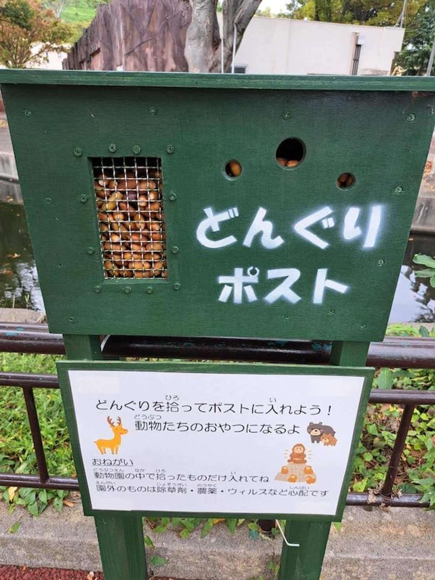 「日立市かみね動物園（公式）アカウント（＠HitachiCity_Zoo）の投稿より