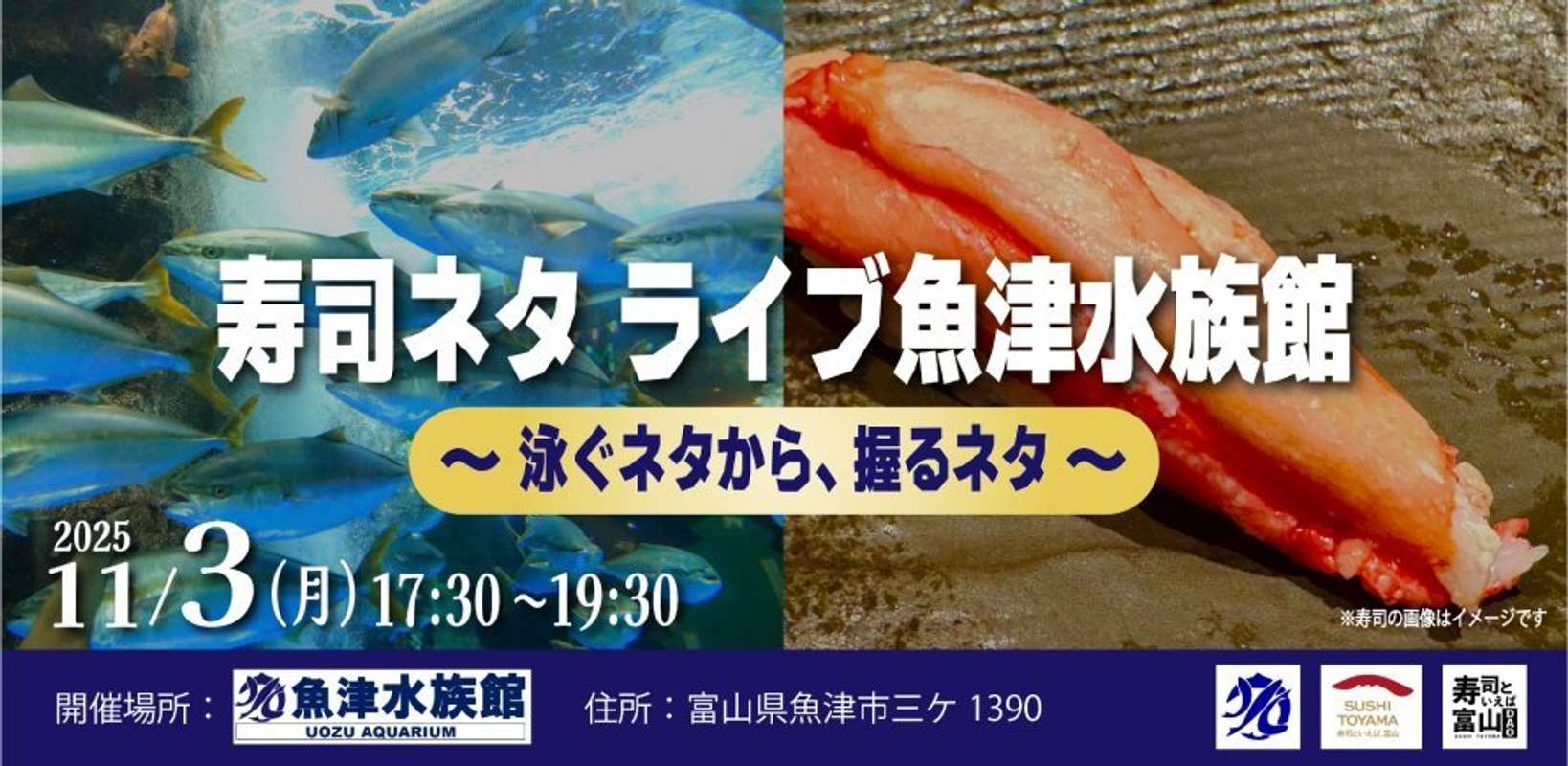 画像はプレスリリースより、再掲