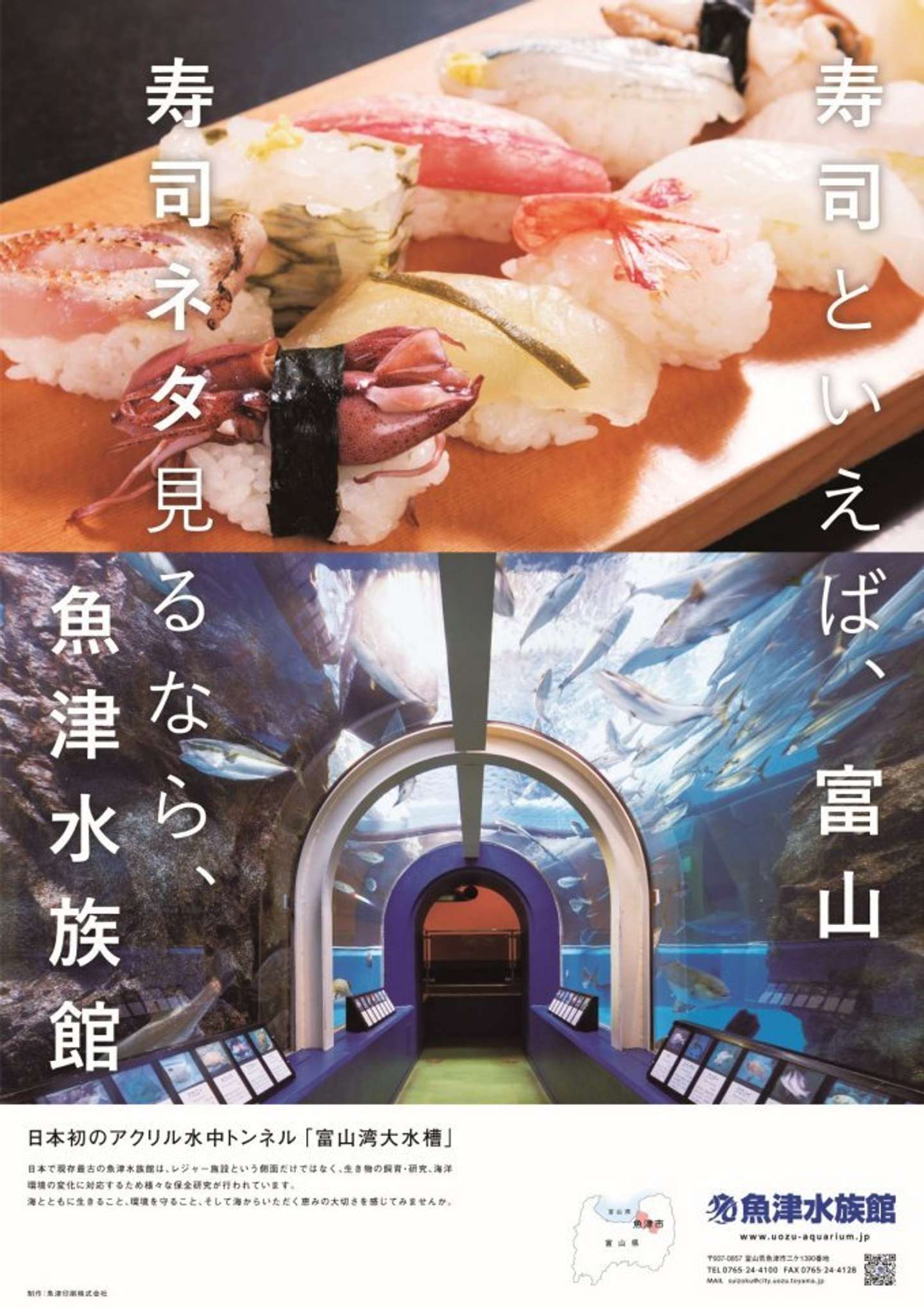 「寿司ネタ見るなら、魚津水族館」（画像はプレスリリースより）