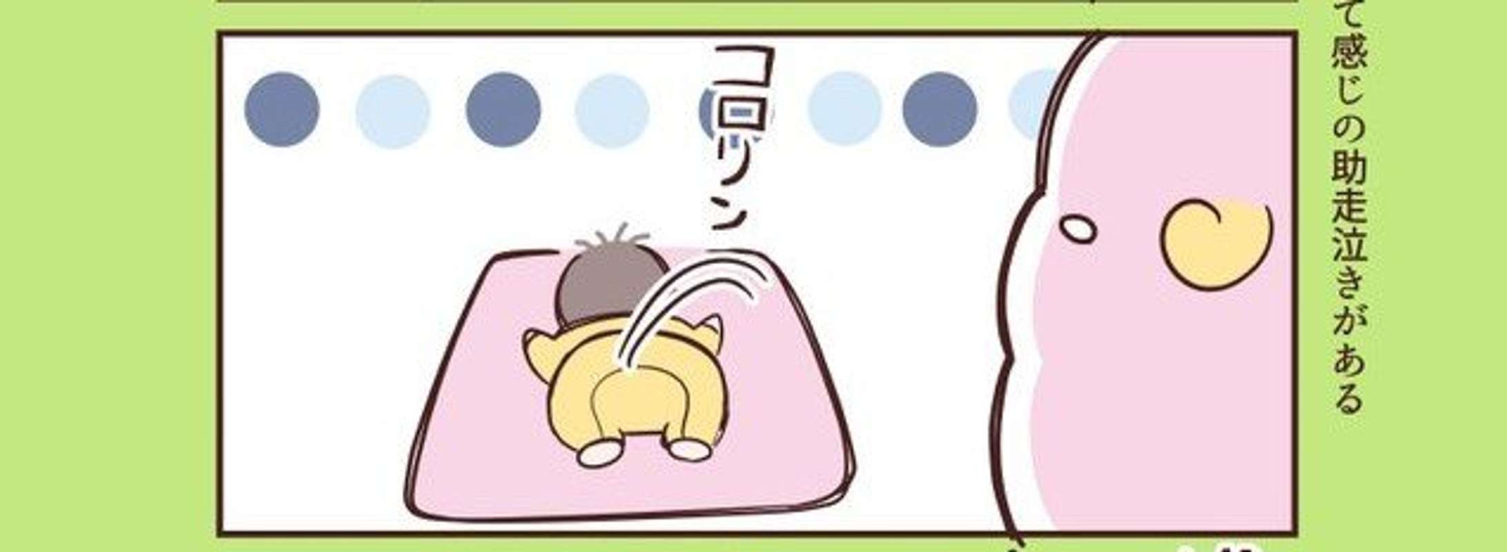作者:紗茶みすけ(@misuke_fam)さん