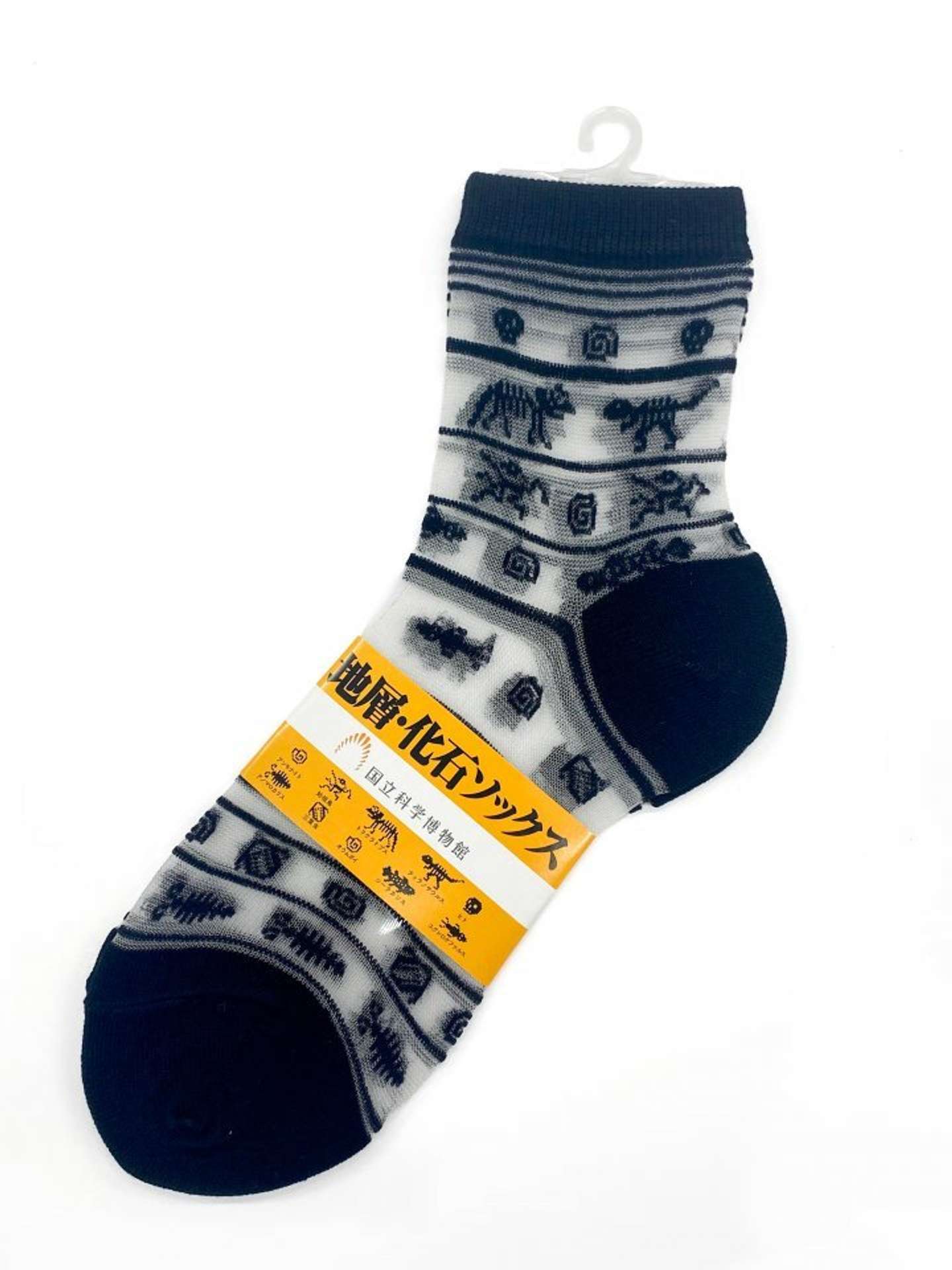 画像提供：国立科学博物館