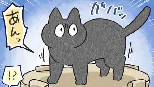 夜、愛猫が急に「独り言」を言い出して... 後に判明した〝理由〟が可愛すぎる件