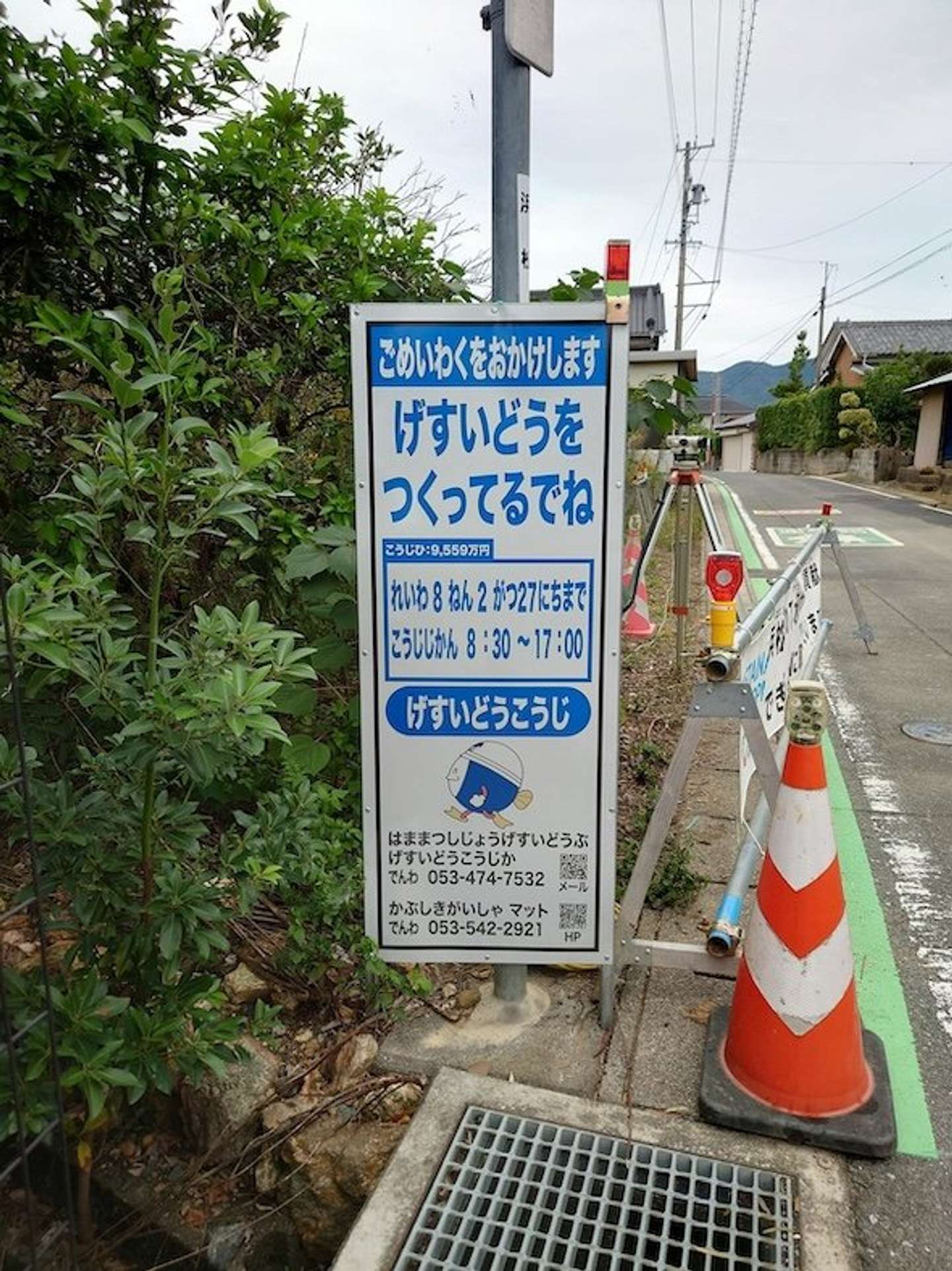 画像提供：マット