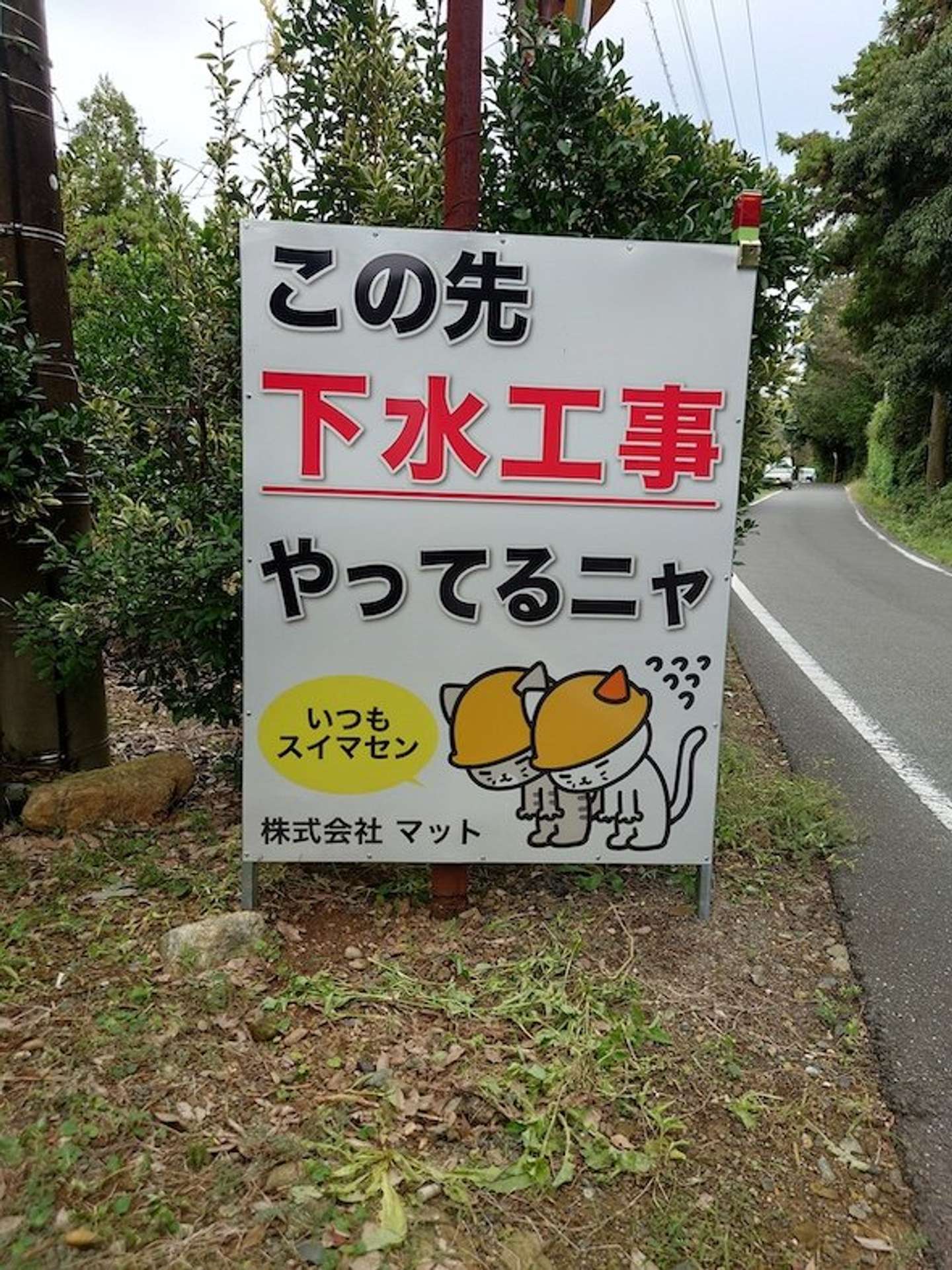 画像提供：マット