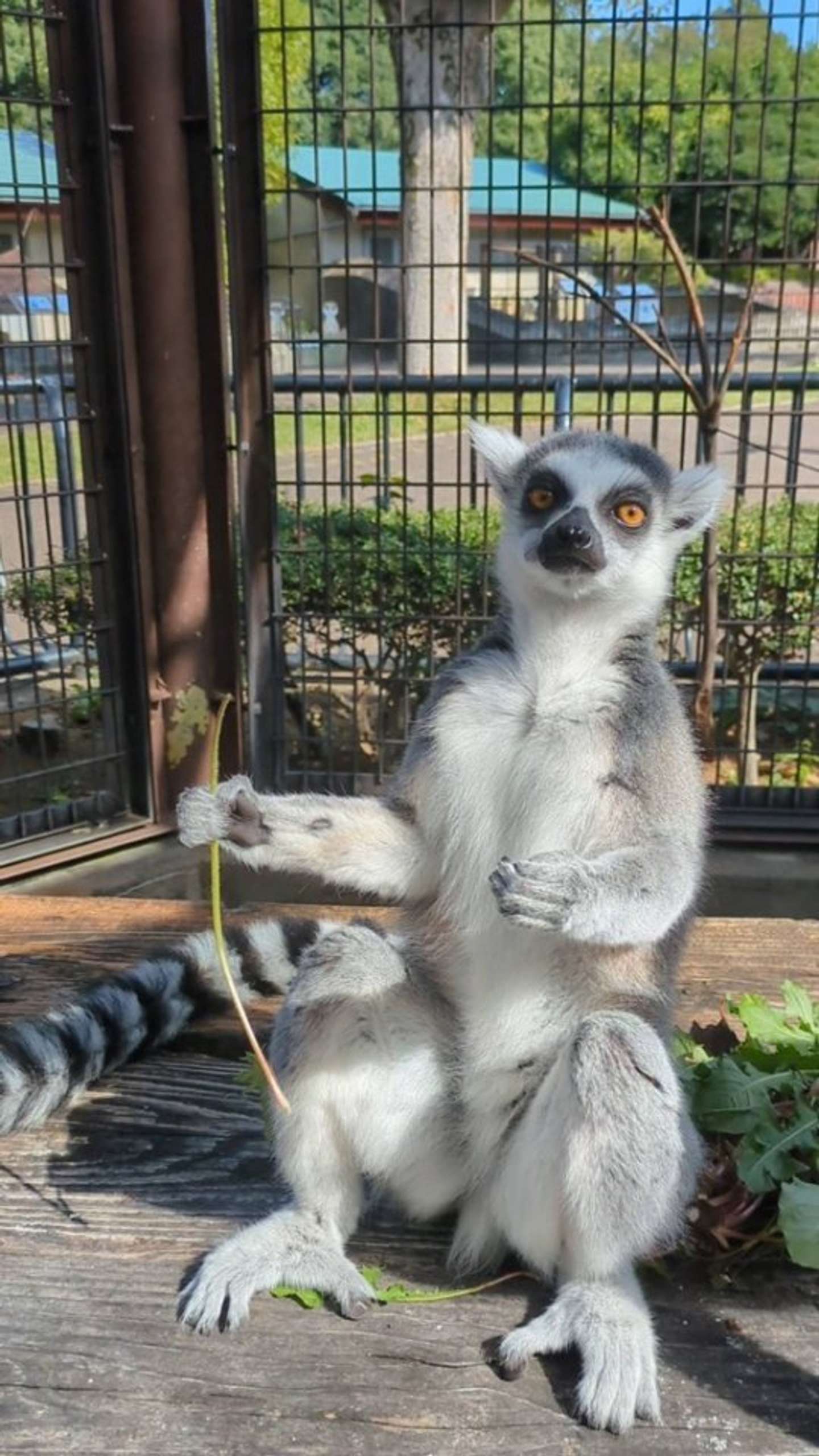 おいしかった？（画像提供：市川市動植物園）