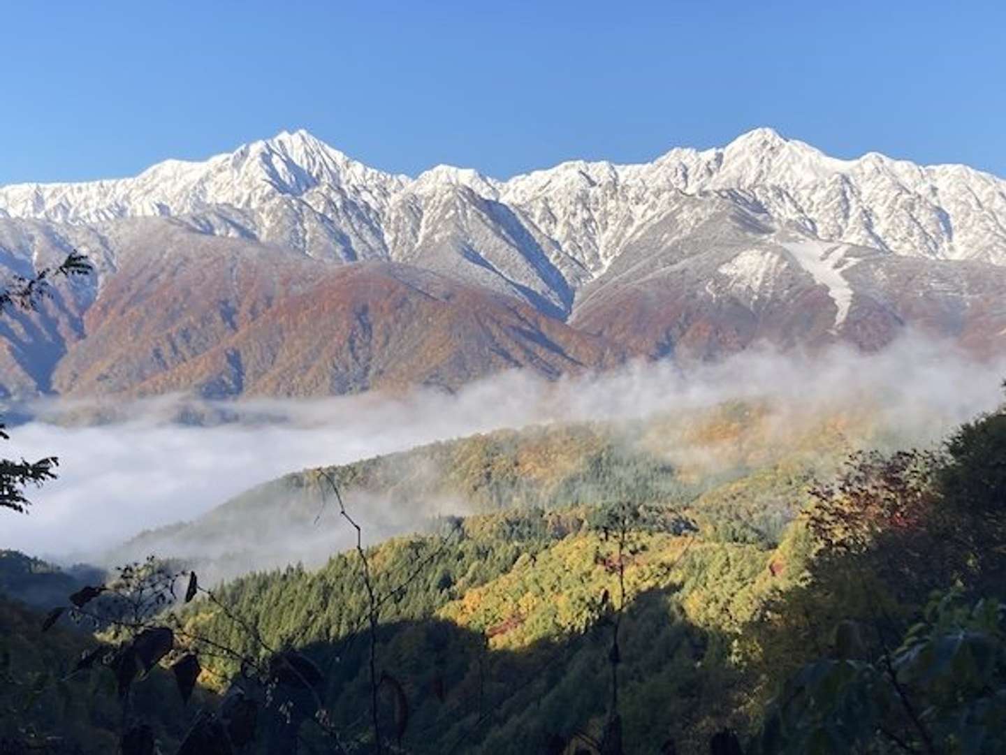 「てん」さん（＠TMV250_)の投稿より