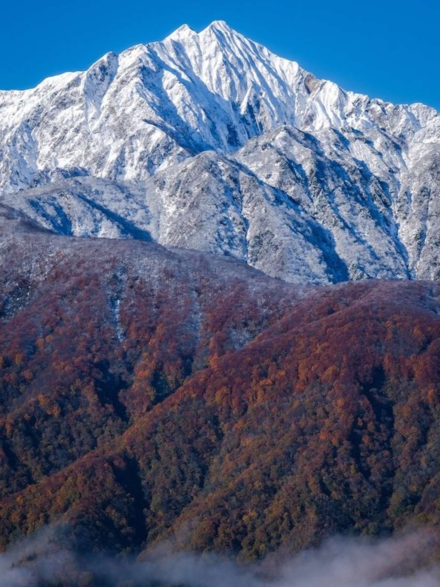 「てん」さん（＠TMV250_)の投稿より