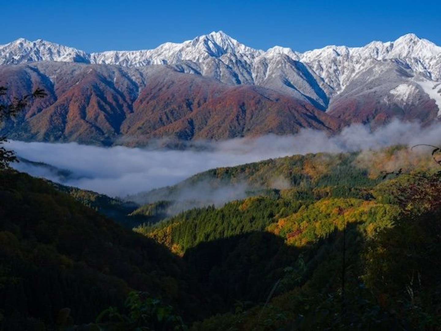 「てん」さん（＠TMV250_)の投稿より