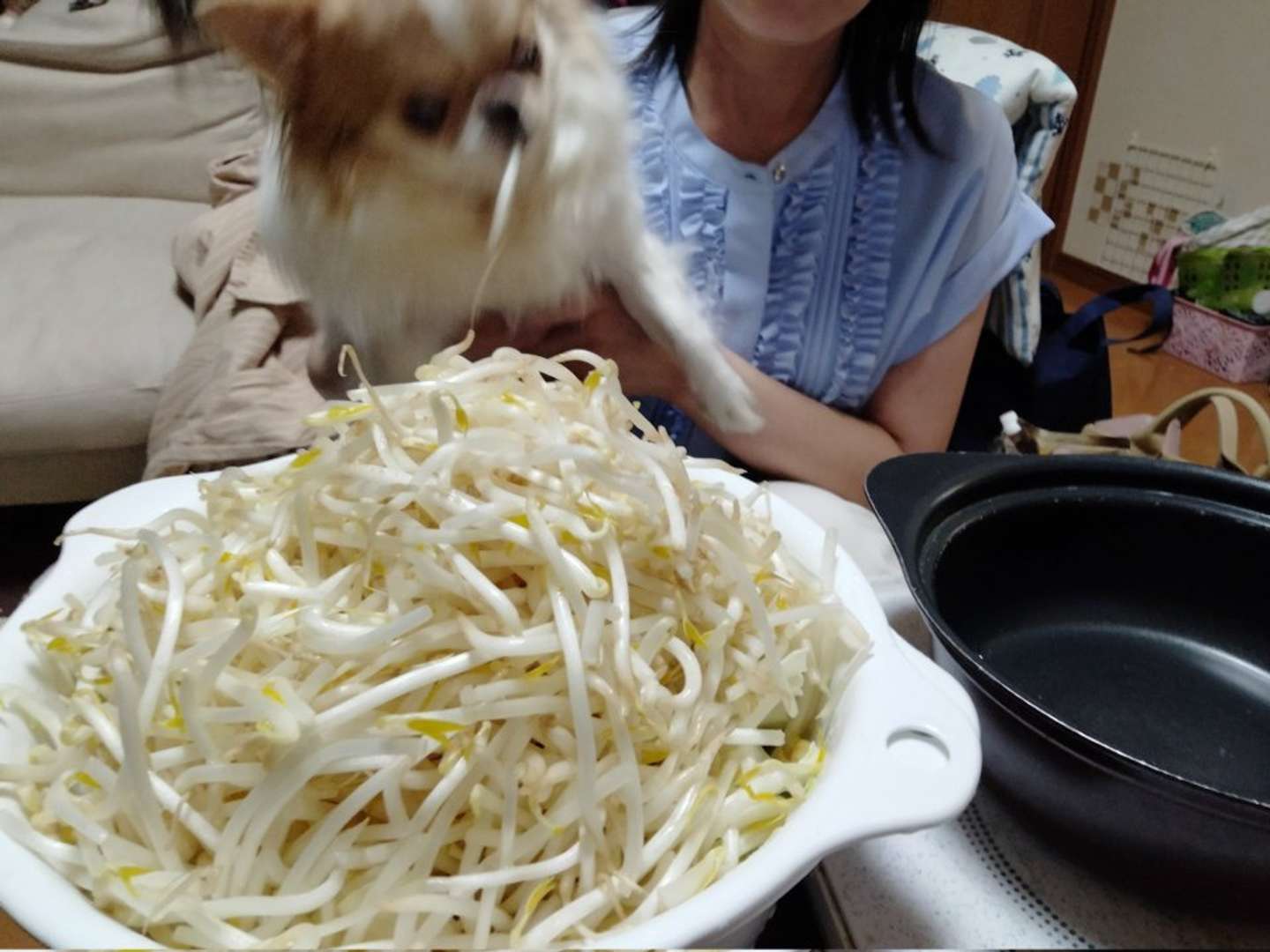 あっ（画像は＠echigoyamokeさん提供）