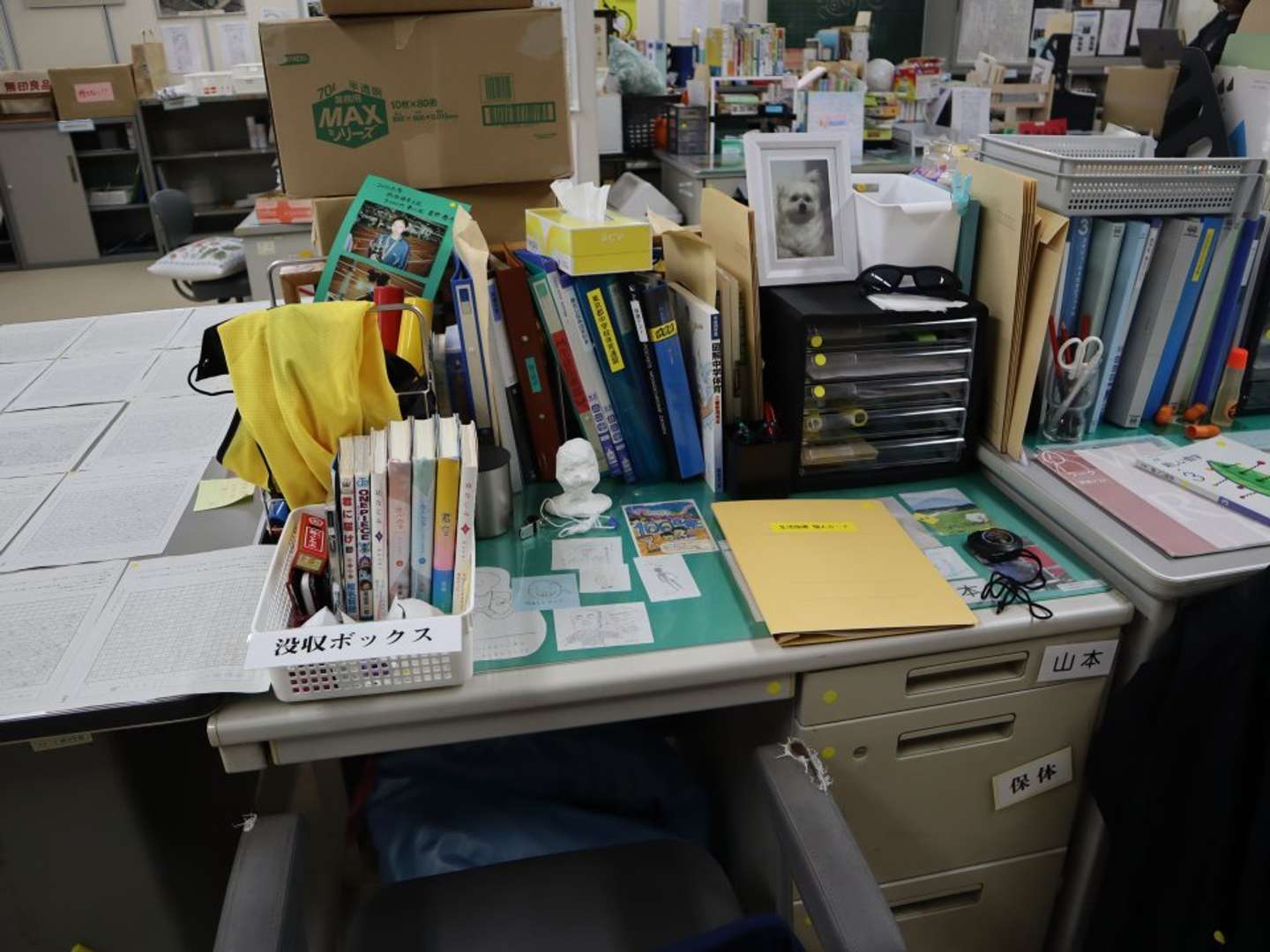 触っていいの...？